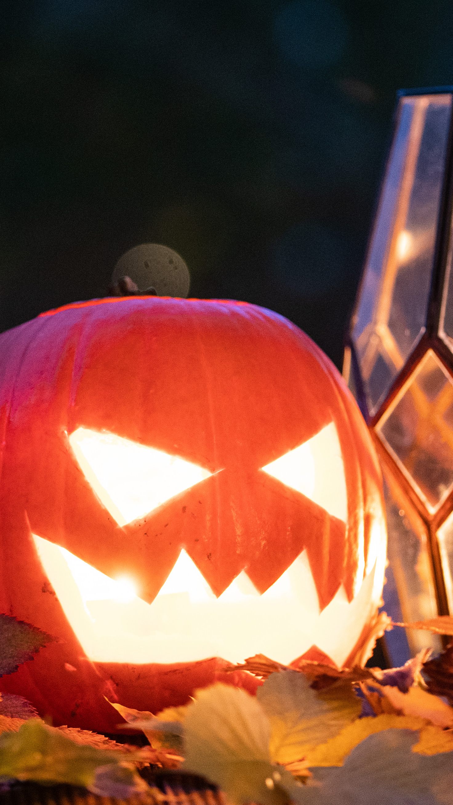 Das sind die besten Halloween-Partys in Wien.