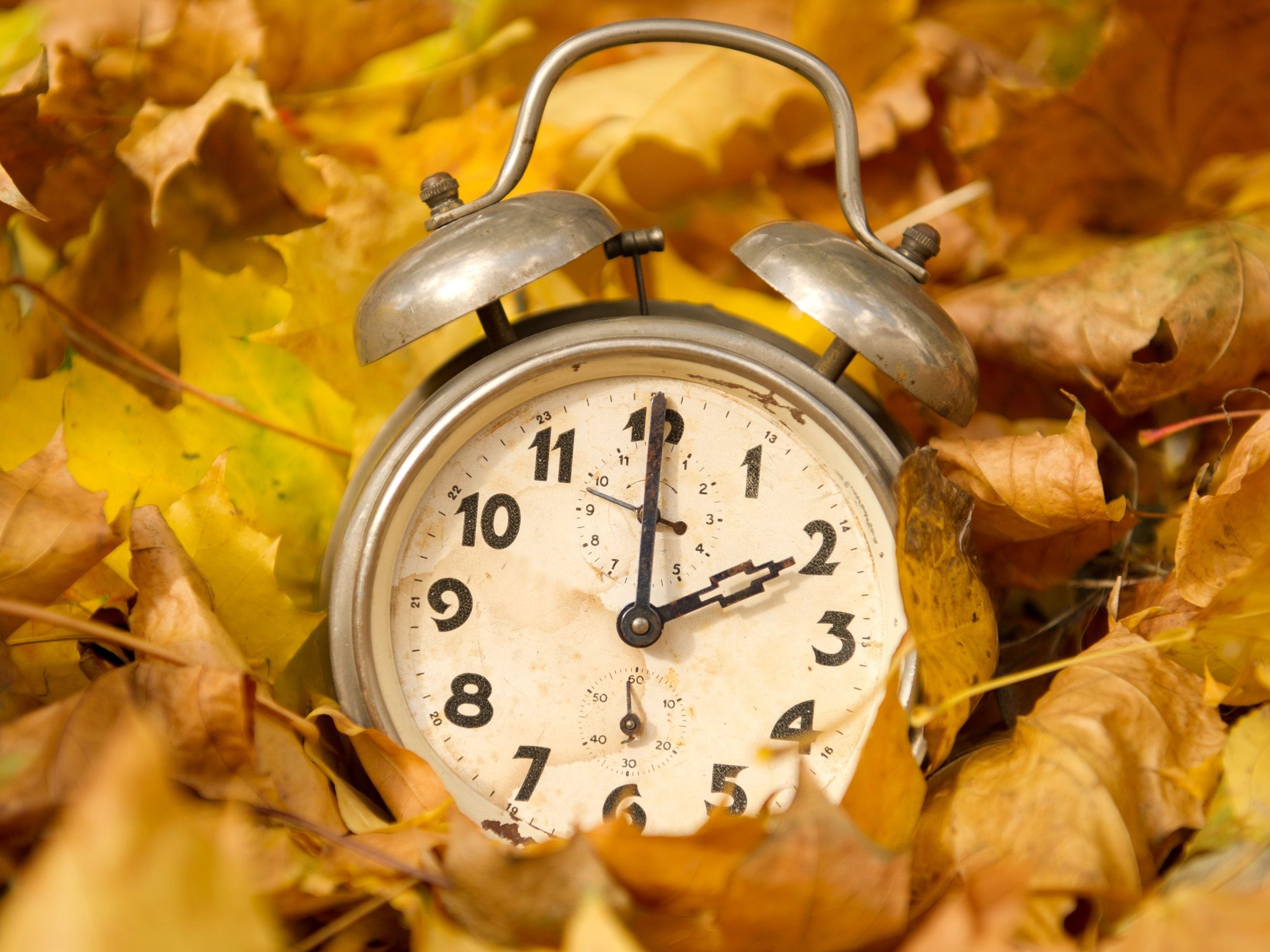 Die Zeiger werden am 30. Oktober eine Stunde zurückgedreht. Die Zeiger werden am 30. Oktober eine Stunde zurückgedreht.