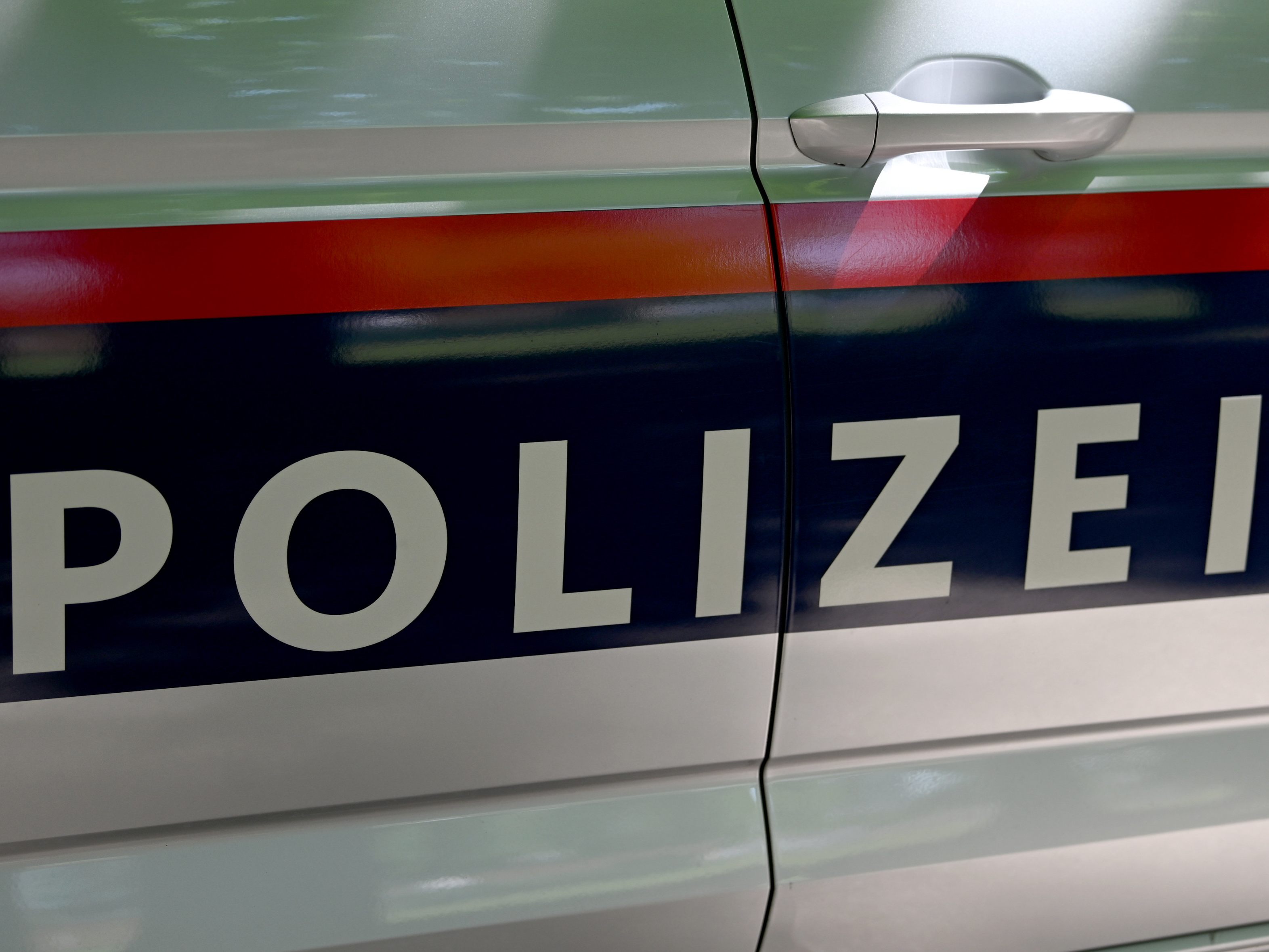 Die Wiener Polizei hat einen mutmaßlichen Hehler geschnappt.