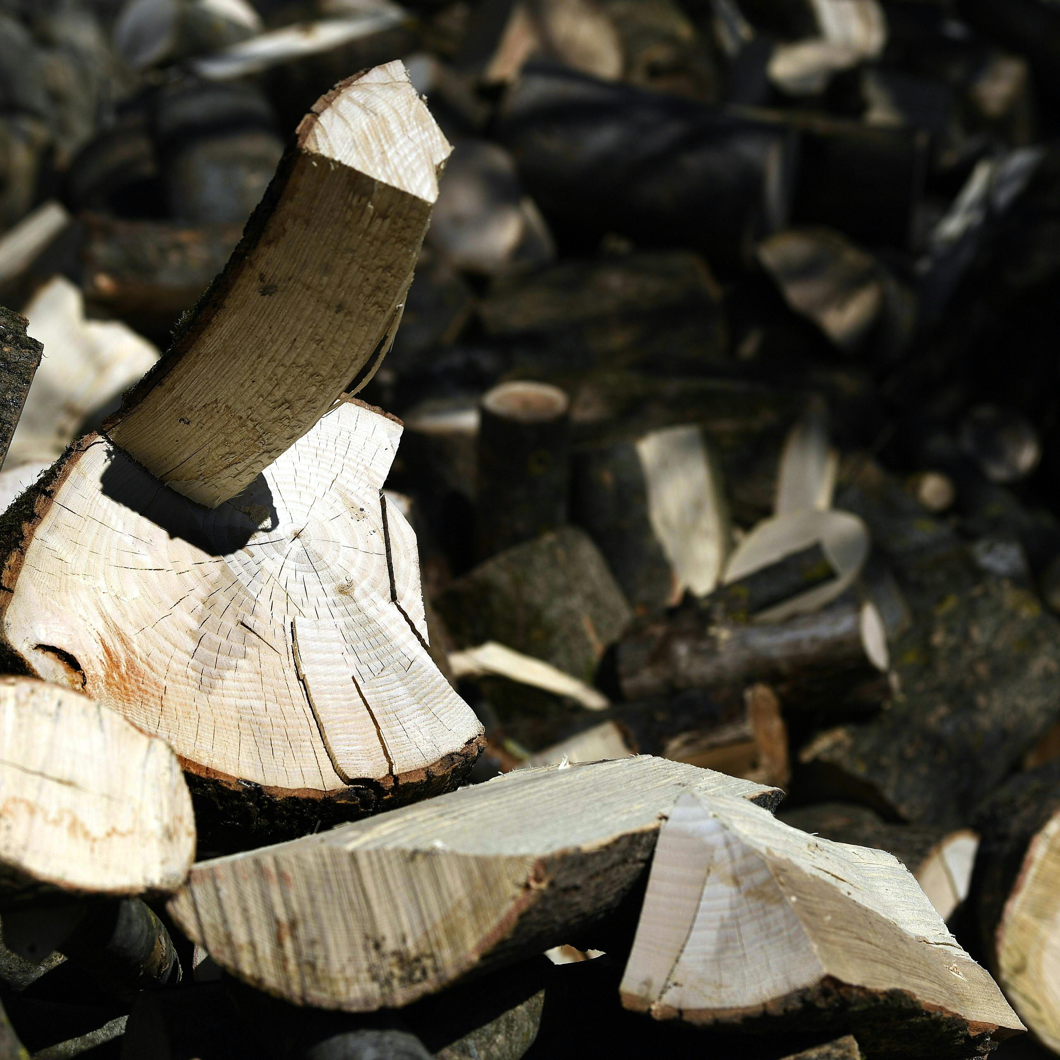 Zahlungsausfallrisiko steigt im Handel, Holz- und Verpackungsbranche.