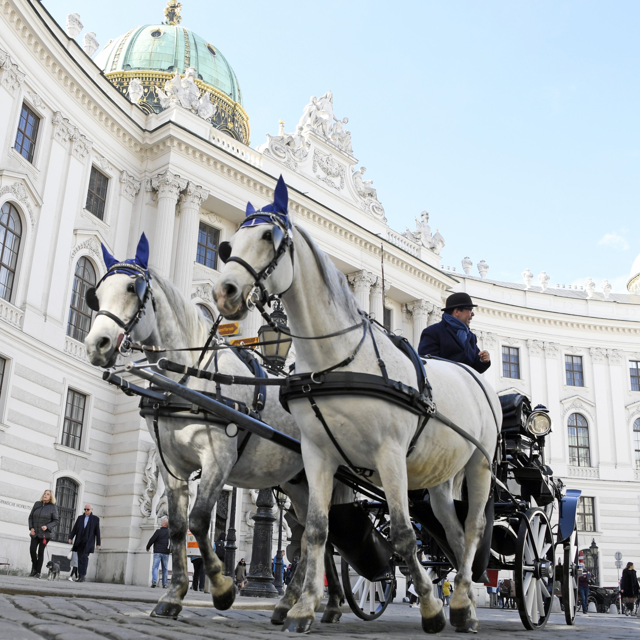 In Wien kam es erneut zu einem Unfall mit einem Fiakerpferd.