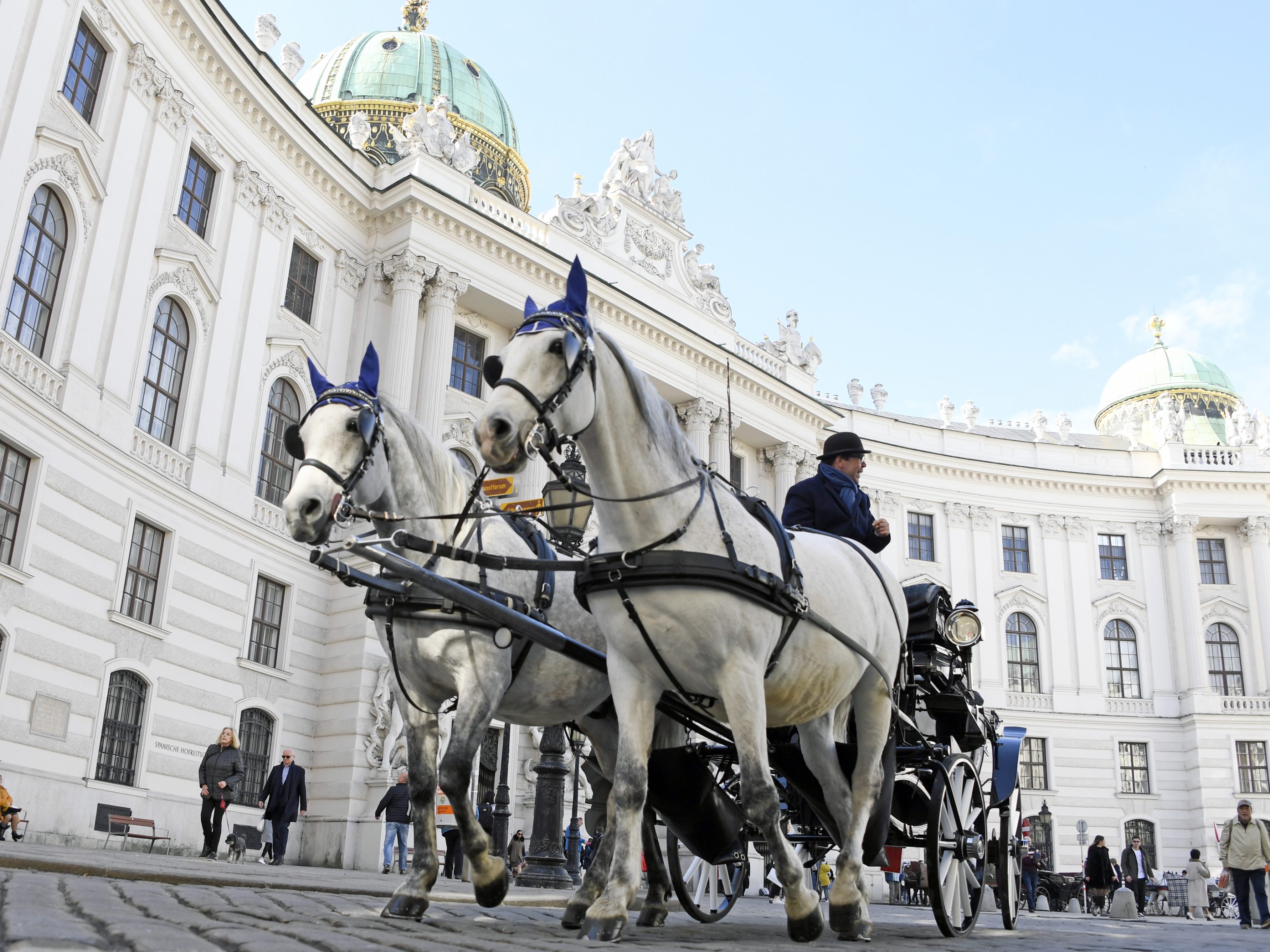 In Wien kam es erneut zu einem Unfall mit einem Fiakerpferd.