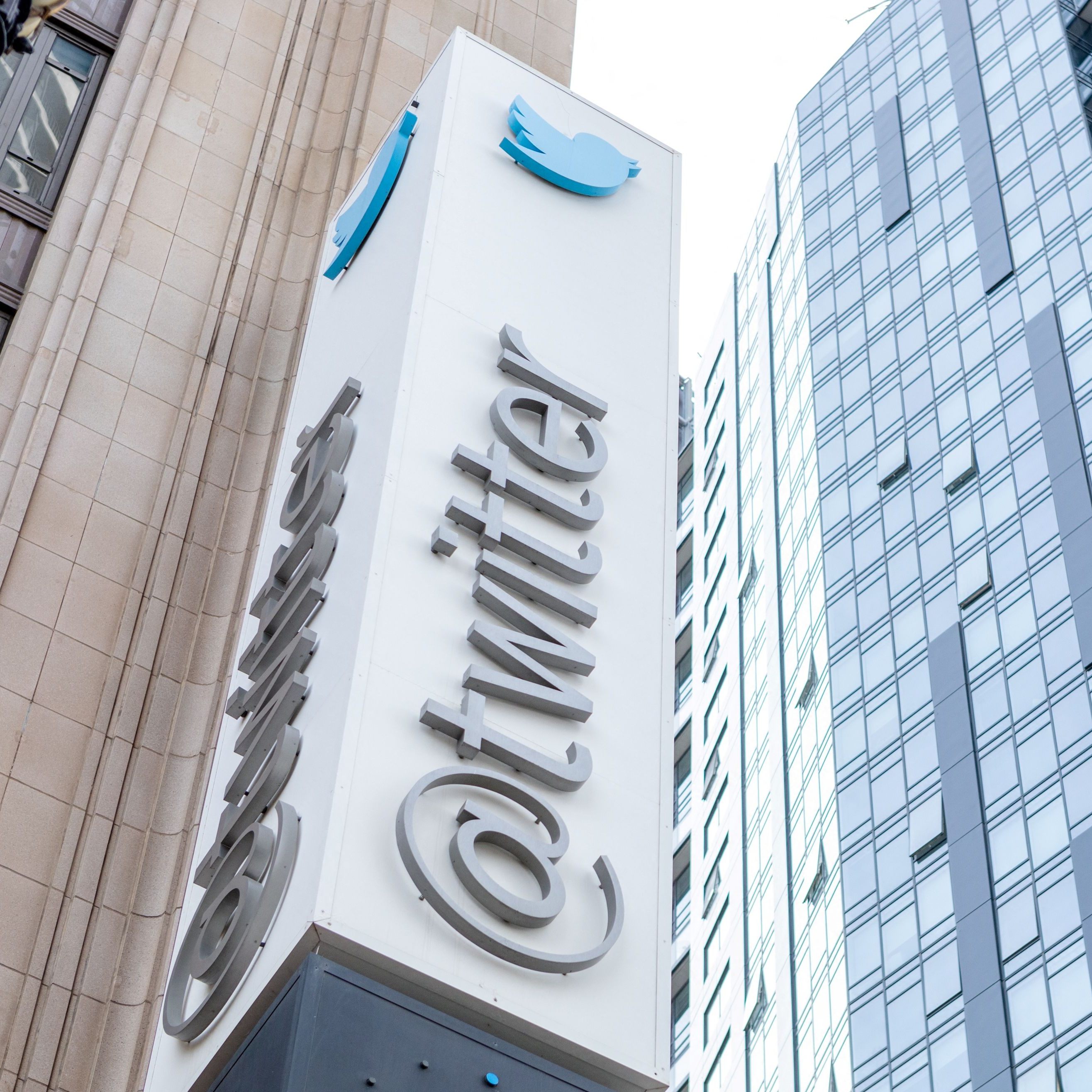 Twitter-Eigentümer Elon Musk überlegt ein Gremium für den zum Umgang mit kontroversen Inhalten zu schaffen.