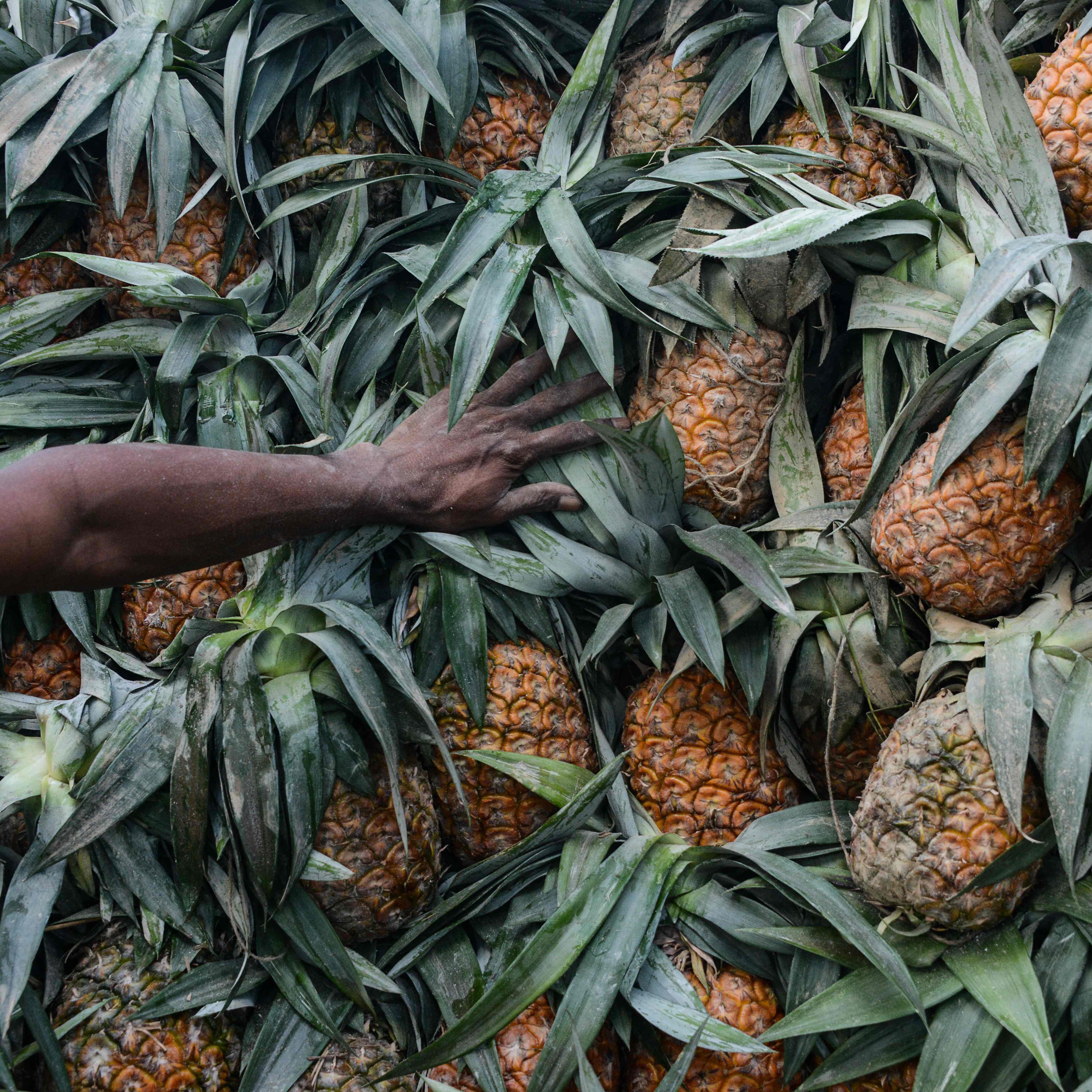 Ananassaft: Bei vielen wahrscheinlich nicht der erste Gedanke bei Husten.