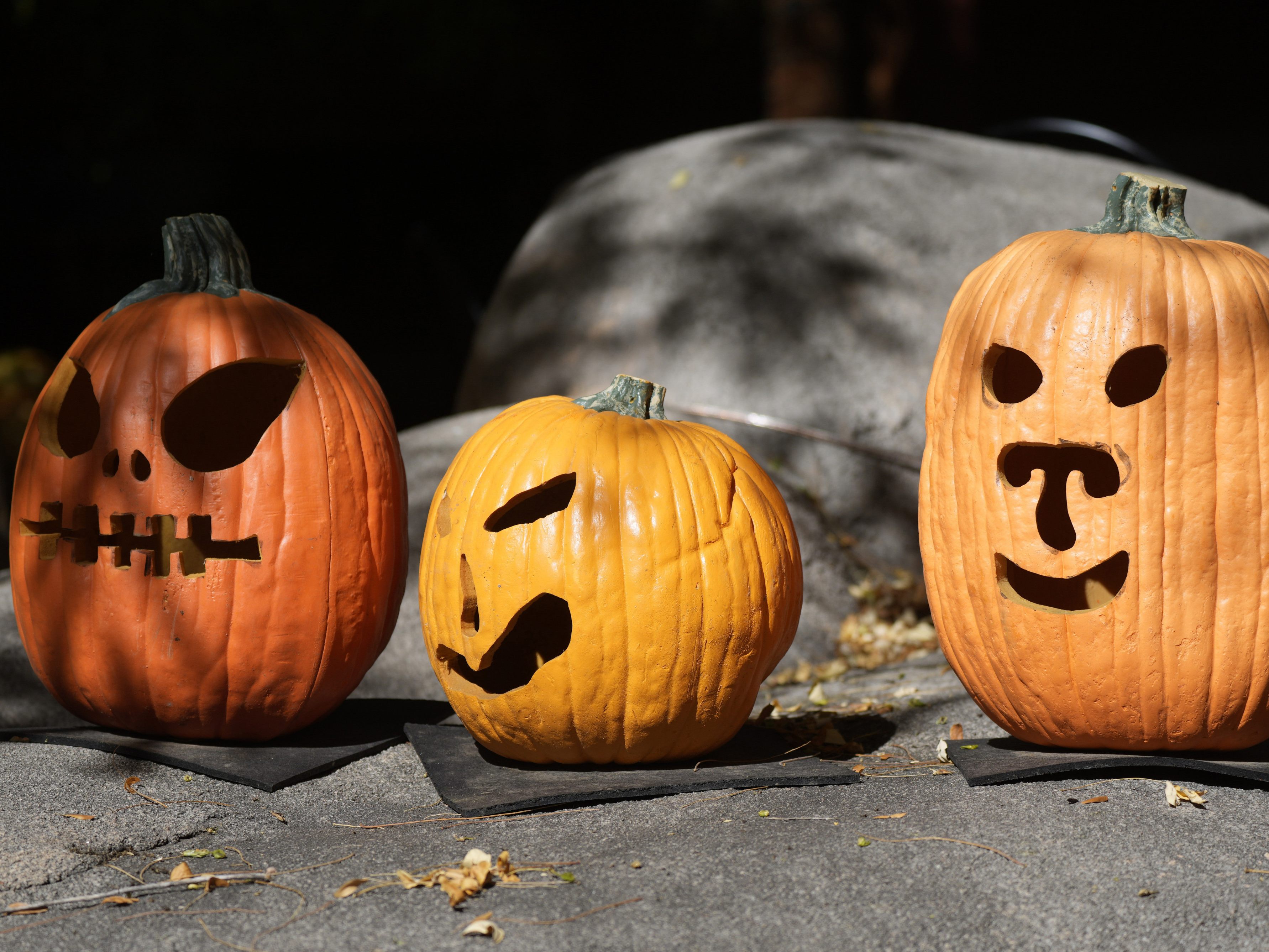 Kinder fiebern Halloween-Nacht entgegen.