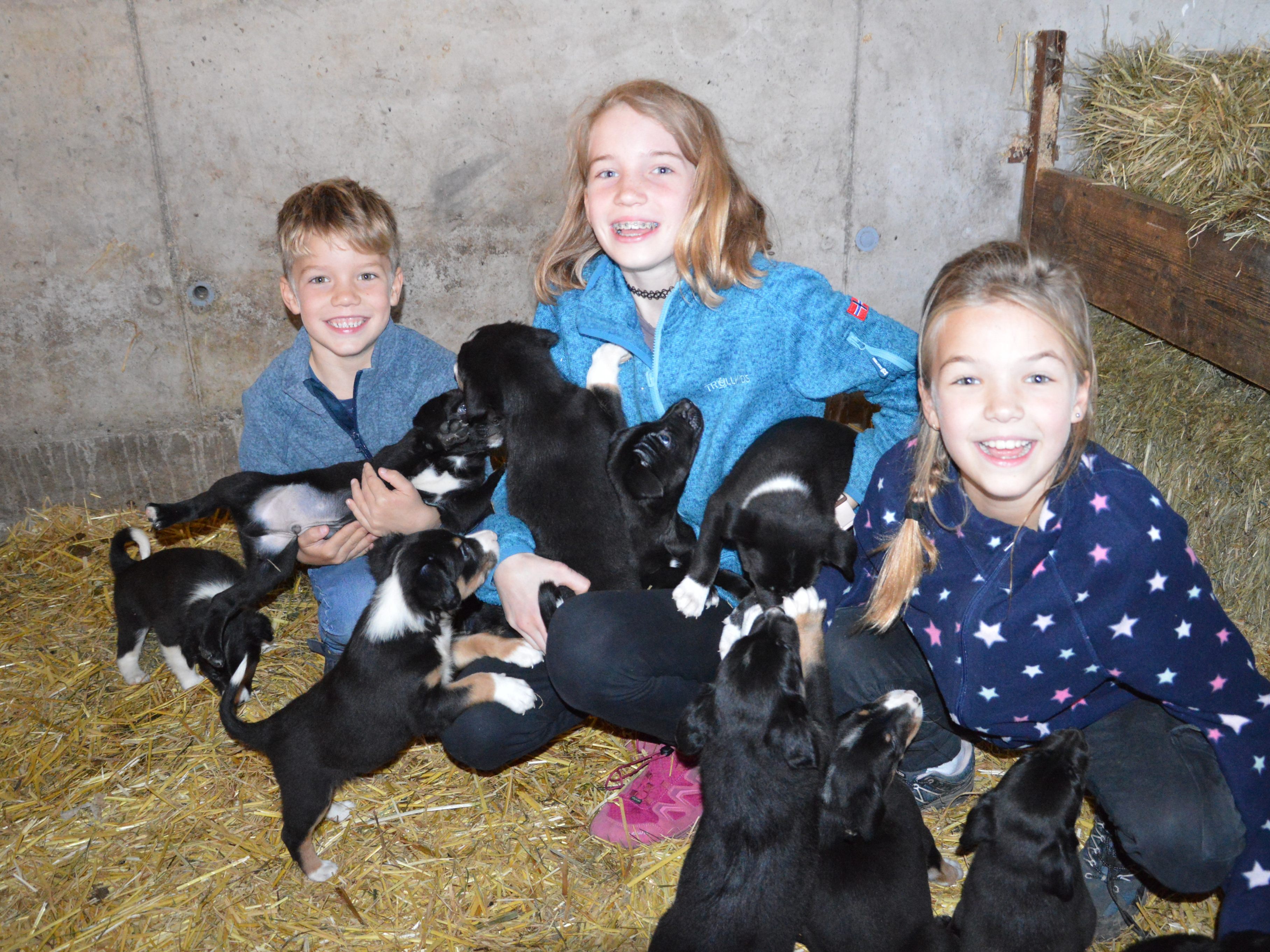 Entzückende Rasselbande lässt Kinderherzen höher schlagen