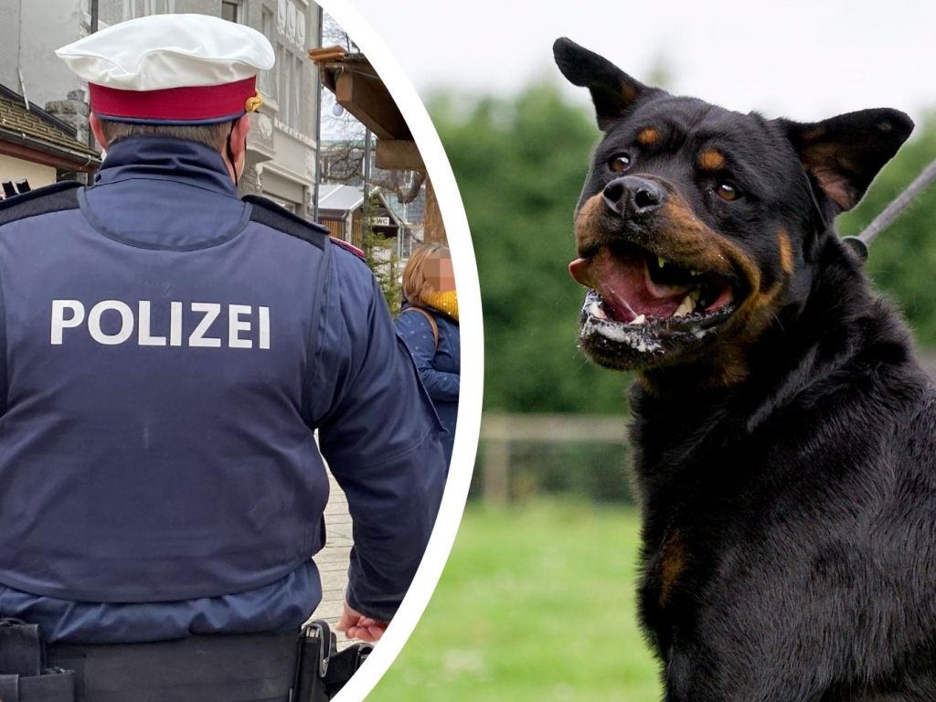 Nach Hundebiss: Rechtliche Konsequenzen möglich - Vorarlberg -- VOL.AT