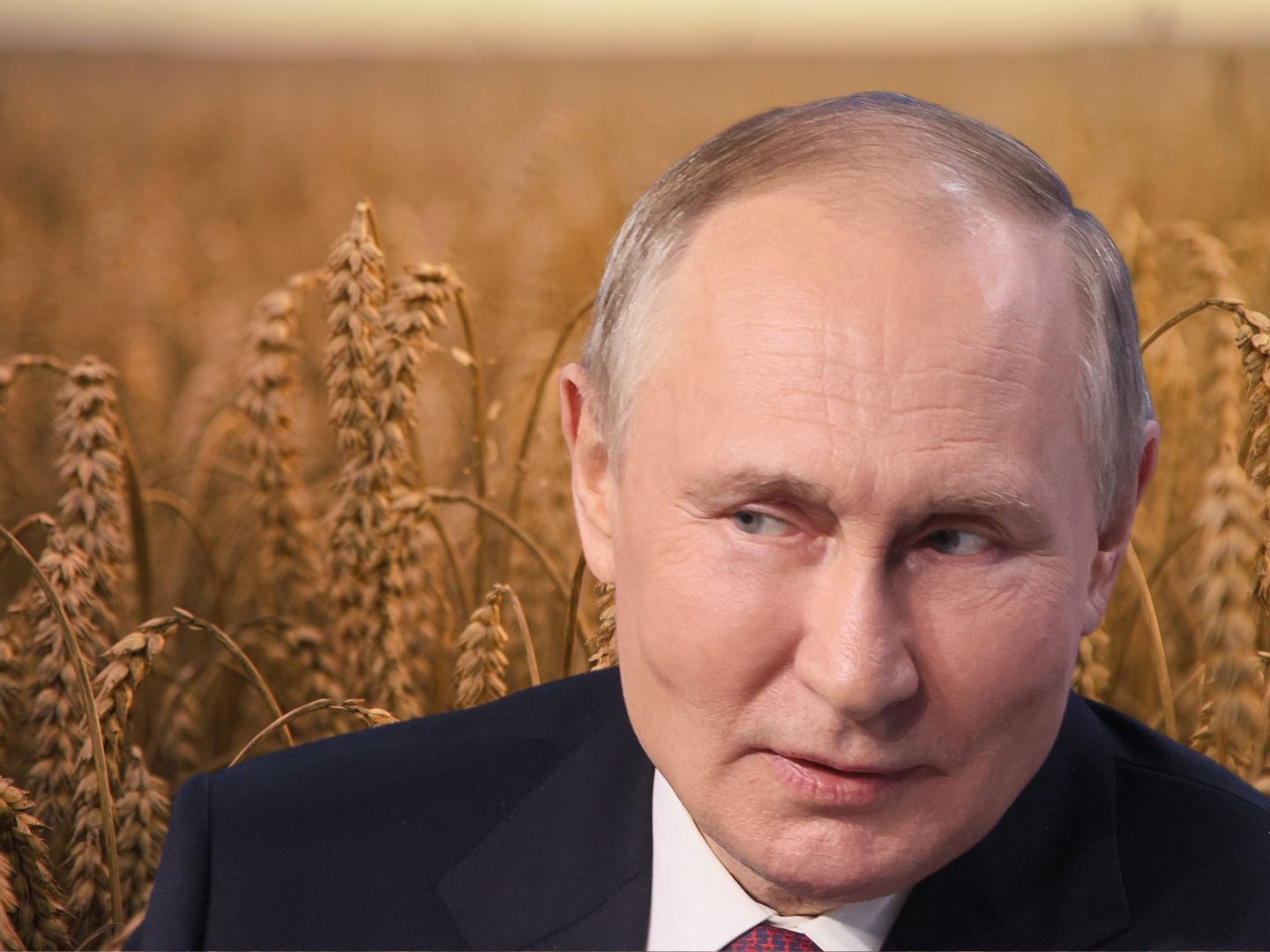 Moskau stoppt den Getreide-Deal mit der Ukraine. Moskau stoppt den Getreide-Deal mit der Ukraine.