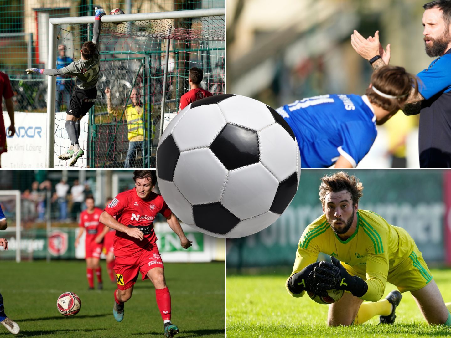 Highlights der 15. Runde der Eliteliga.