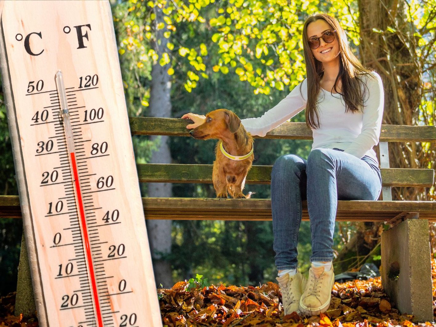 Am Wochenende zeigt sich der Herbst von seiner schönsten Seite.