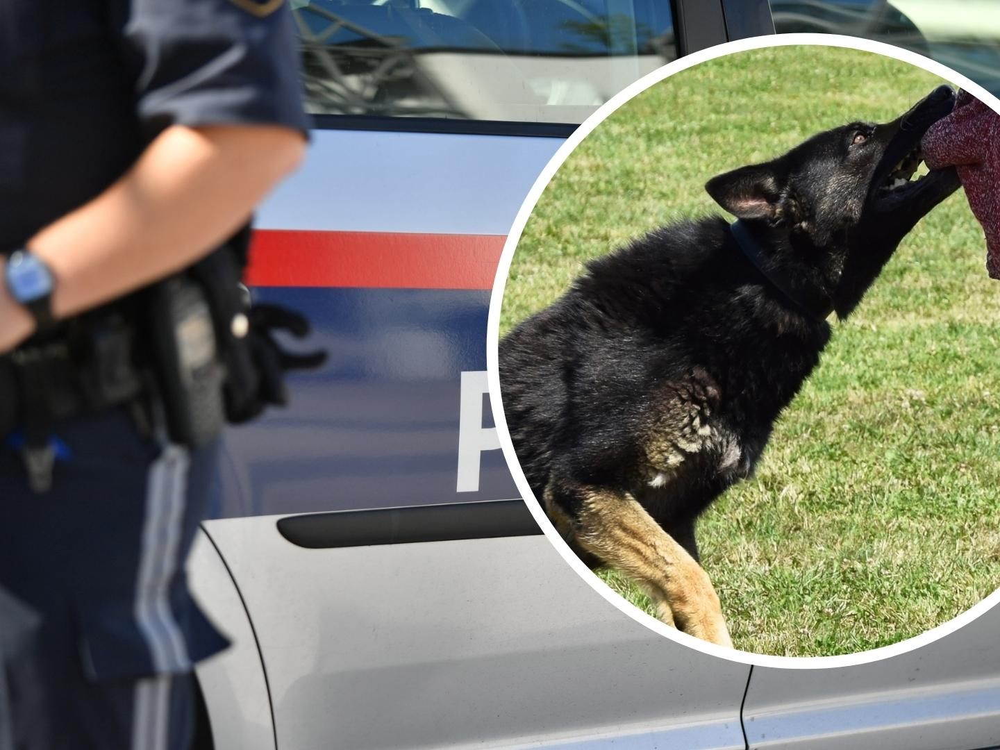 Der Hund biss die Frau im Bauchbereich (Symbolbild). Der Hund biss die Frau im Bauchbereich (Symbolbild).