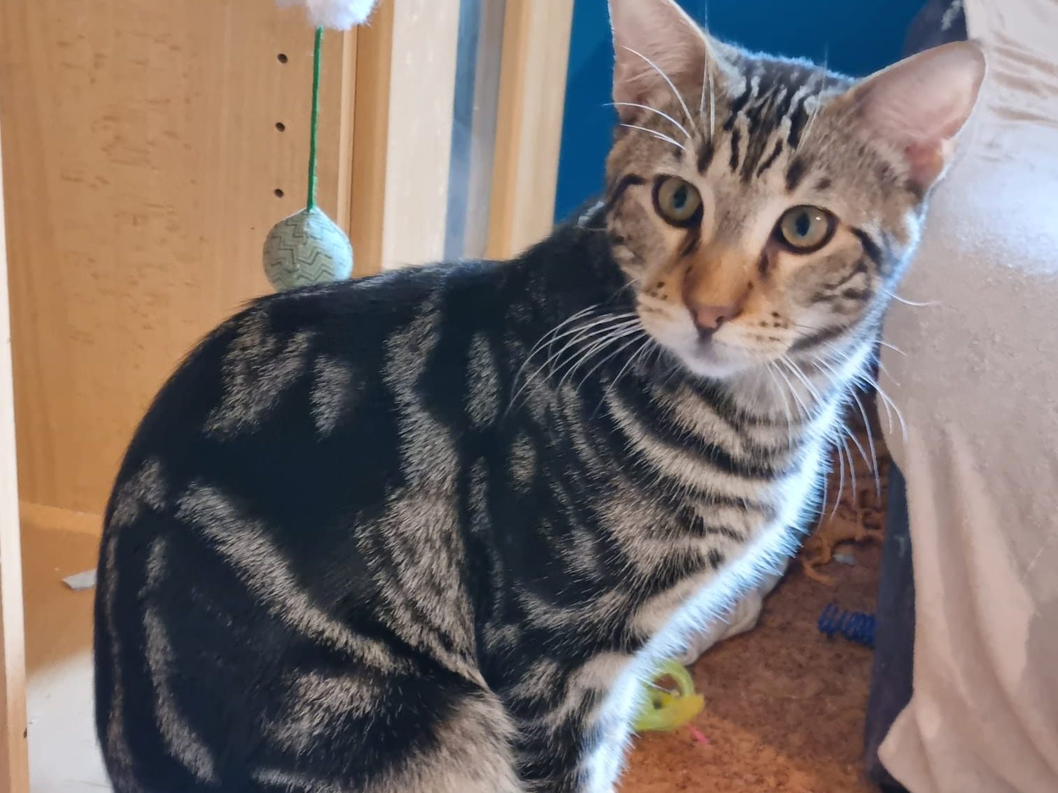 Milo
