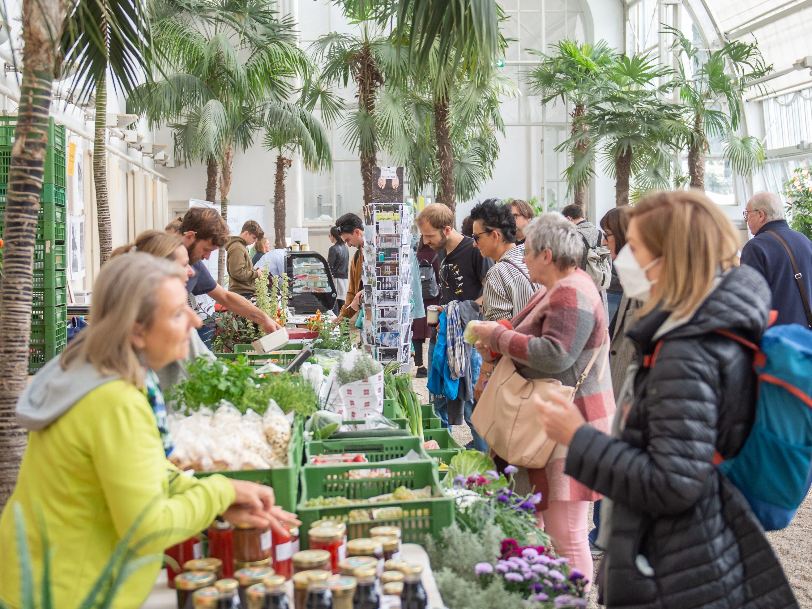Der "Bauernmarkt unter Palmen" in Wien geht in die letzte Runde.