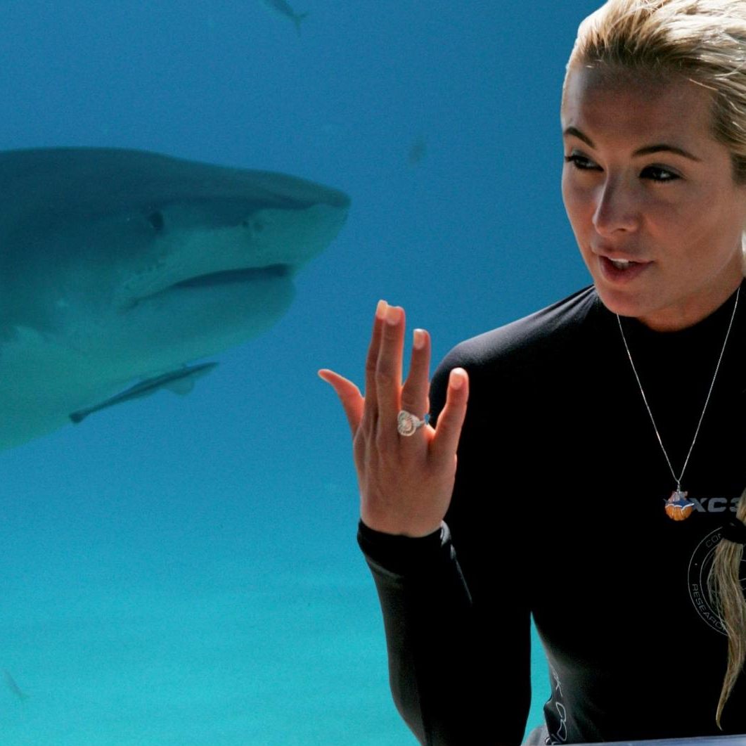 Taucherin Ocean Ramsay liegt der Schutz von Haien am Herzen.