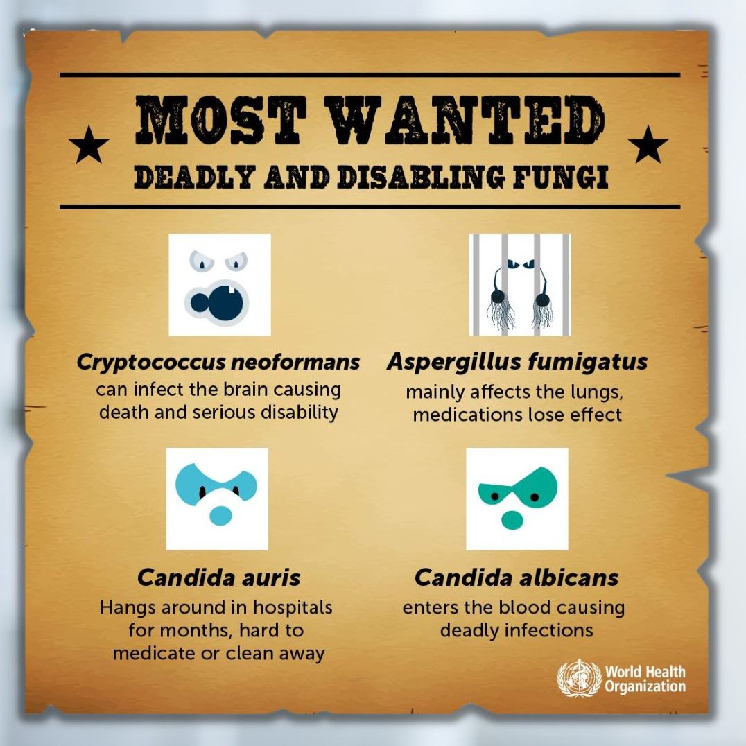 Die Weltgesundheitsorganisation (WHO) ist besorgt über 19 krankheitserregende Pilze.