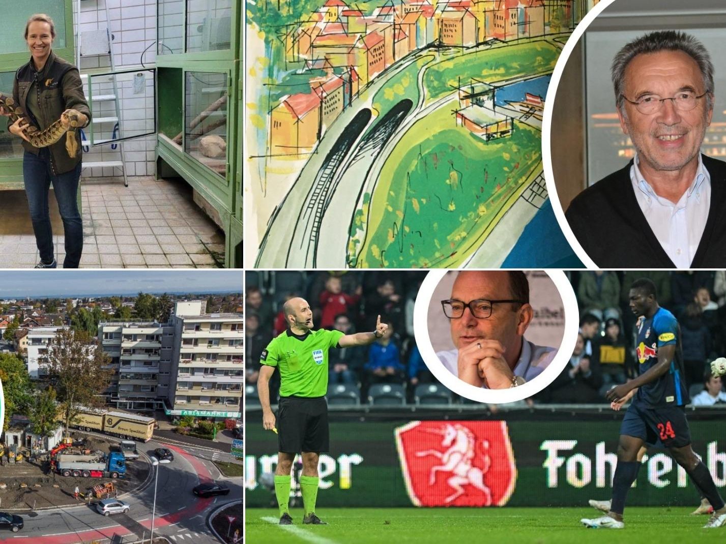 Riesenschlangen in Vorarlberg, eine nie realisierte Unterflurautobahn, ein neuer Kreisverkehr, SCR Altach vs Schiedsrichter - die meistgelesenen V+ Artikel der letzten Woche.