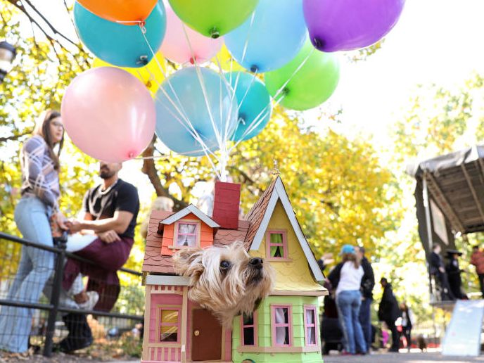 Beim 32. "Tompkins Square Halloween Dog Festival" stellten die Teilnehmer des alljährlichen Wettbewerbs ihre Verkleidungskünste wieder in Manhattans East Village unter Beweis.