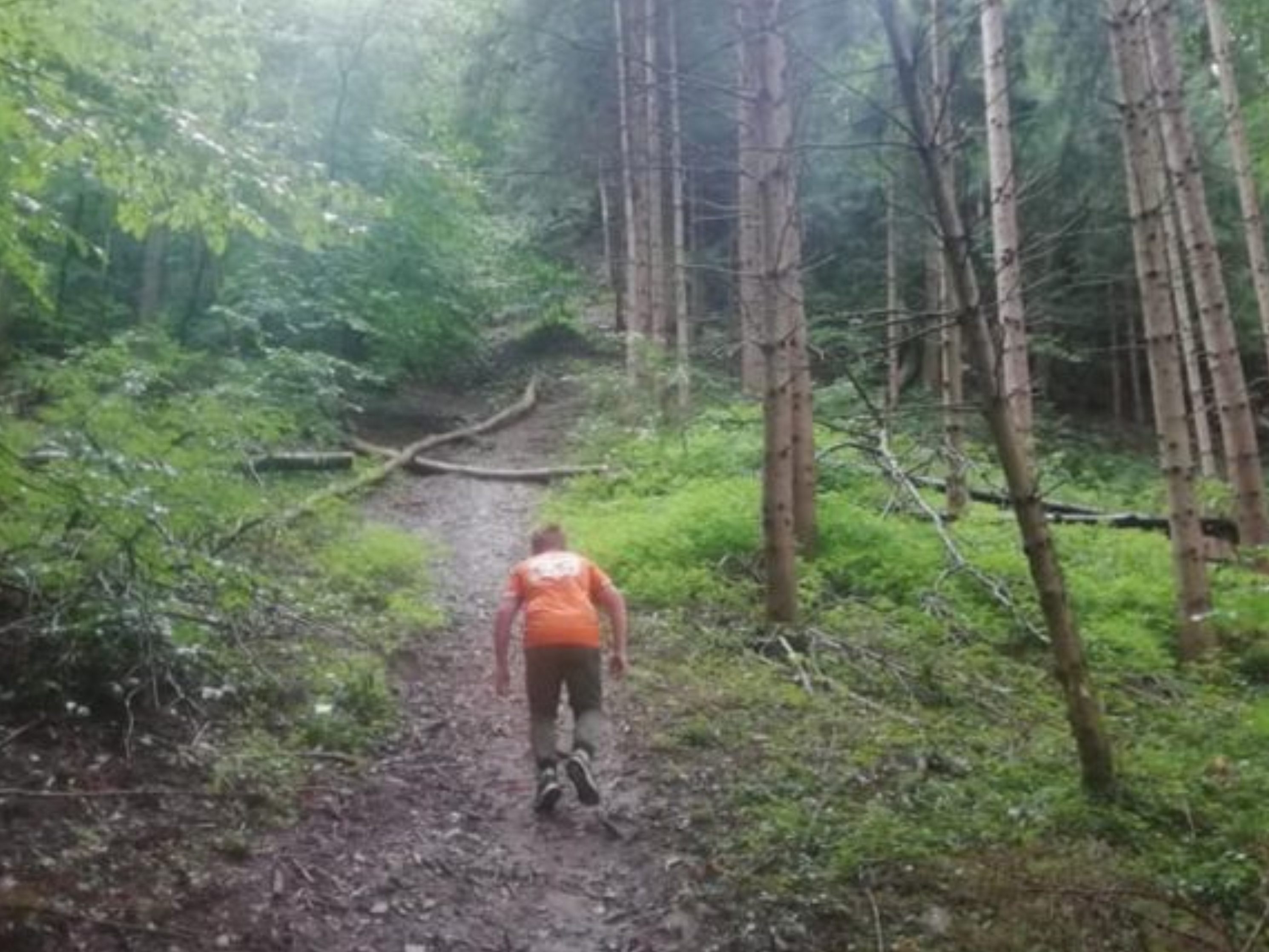 Im Rahmen der Initiative „Walgau-Wiesen-Wunder-Welt“ soll die Bevölkerung  für die Schönheit und Bedeutung der Flora und Fauna sensibilisiert werden