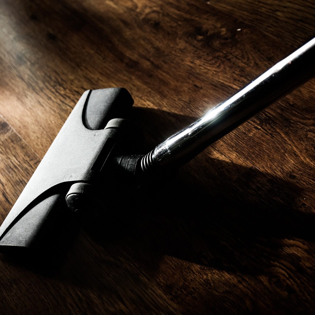 Können Spinnen wieder aus dem Staubsauger krabbeln?