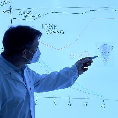 Anteil der Mutationen BQ.1 bzw. BQ.1.1 stieg auf 13 bis 14 Prozent