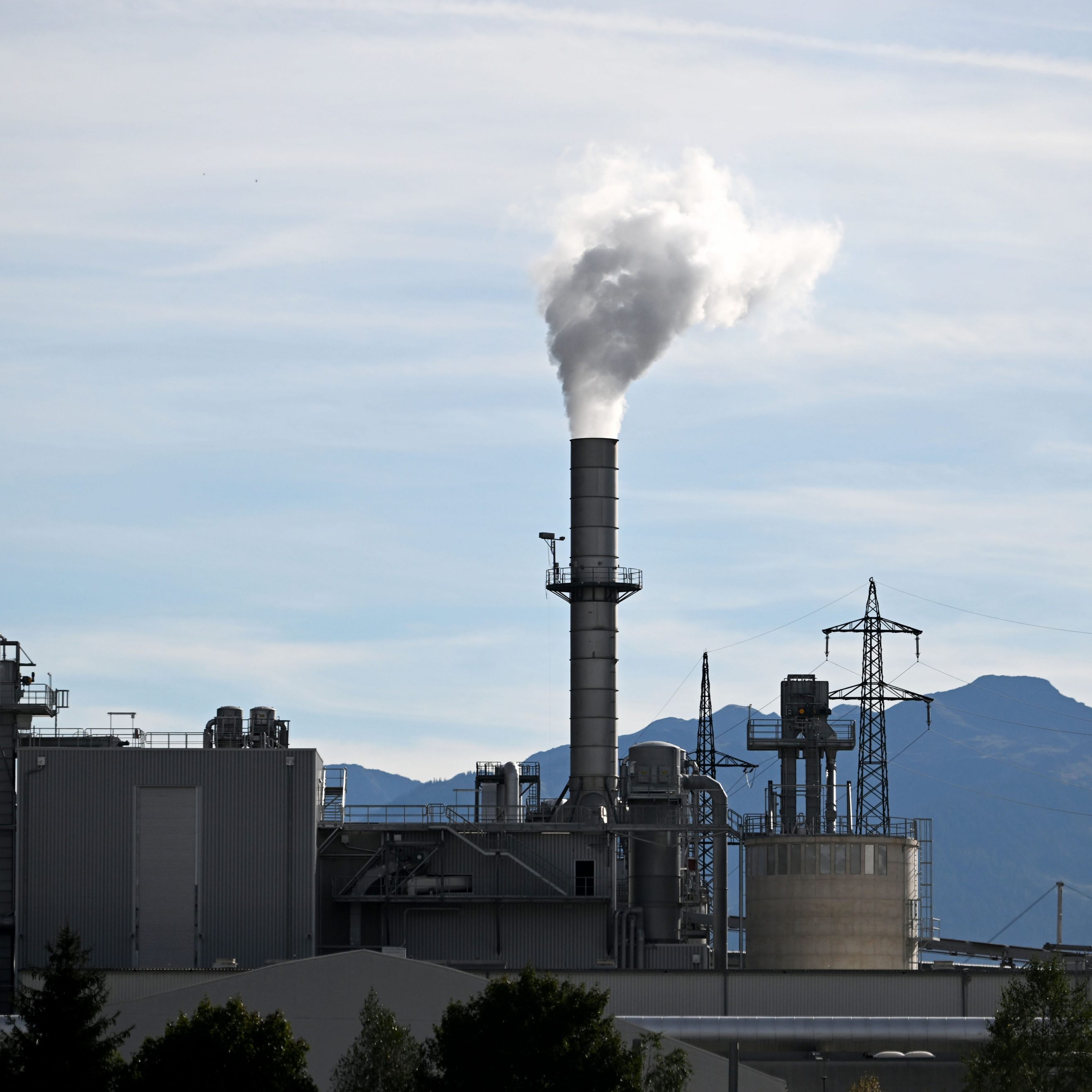 Die Energiekrise trägt zur grünen Transformation bei heimischen Unternehmen bei.