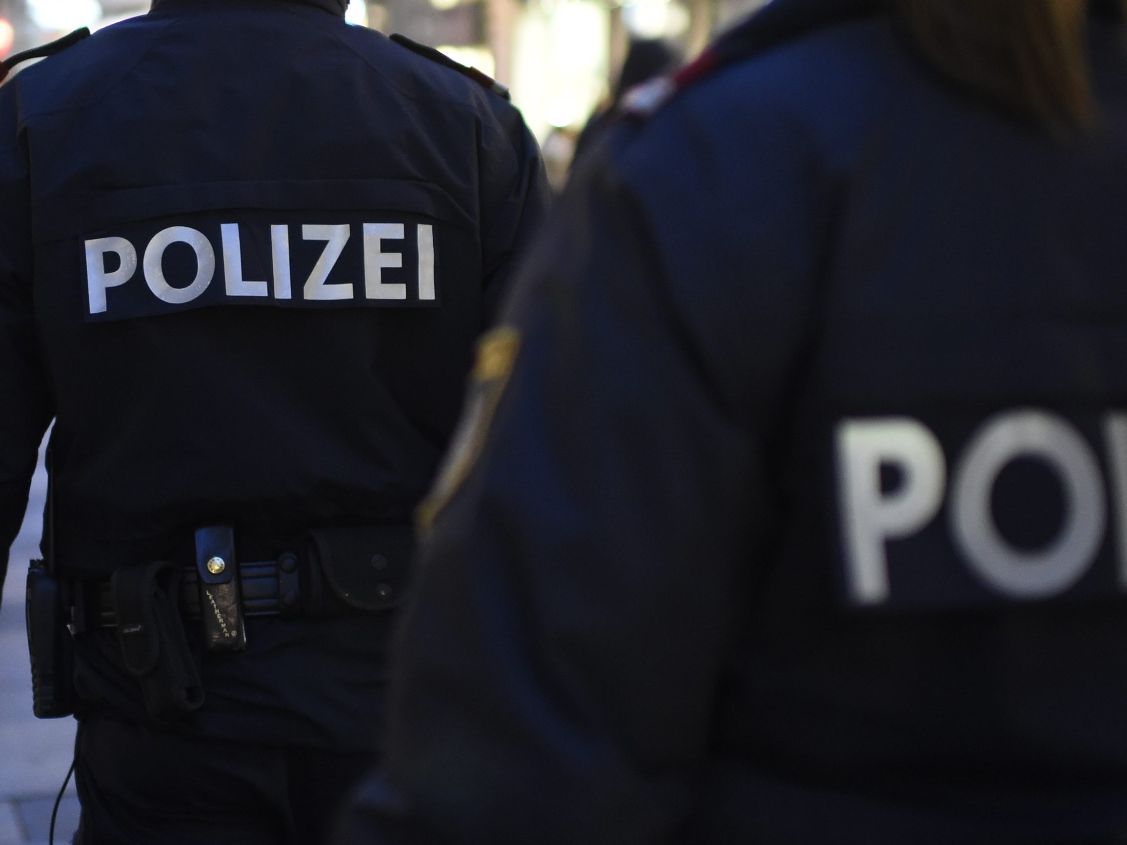Die Wiener Polizei konnte in Wieden einen Einbrecher schnappen. Die Wiener Polizei konnte in Wieden einen Einbrecher schnappen.