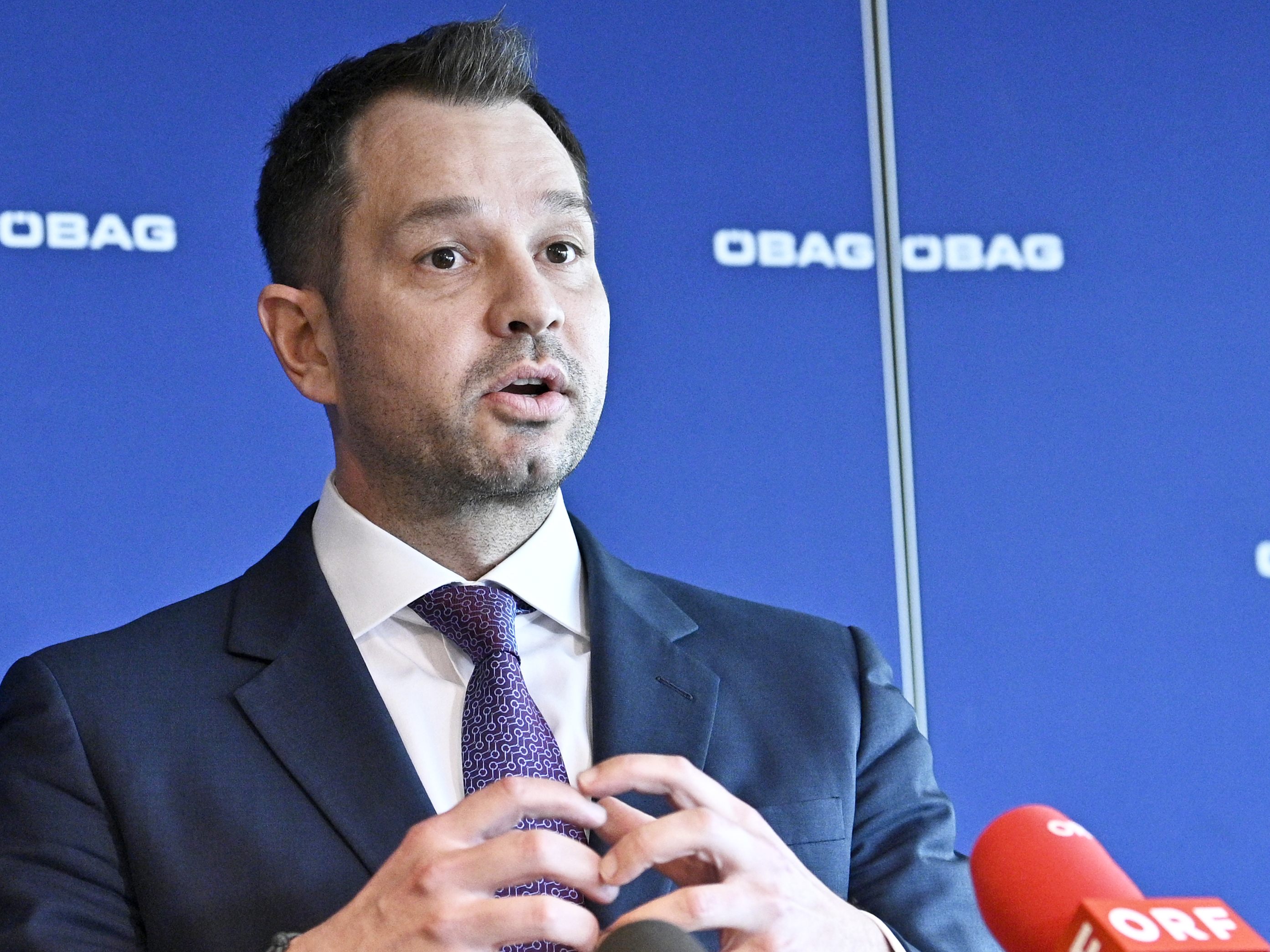 Der Verfassungsgerichtshof bekam eine Zusammenfassung geschwärzter Aktenteile.