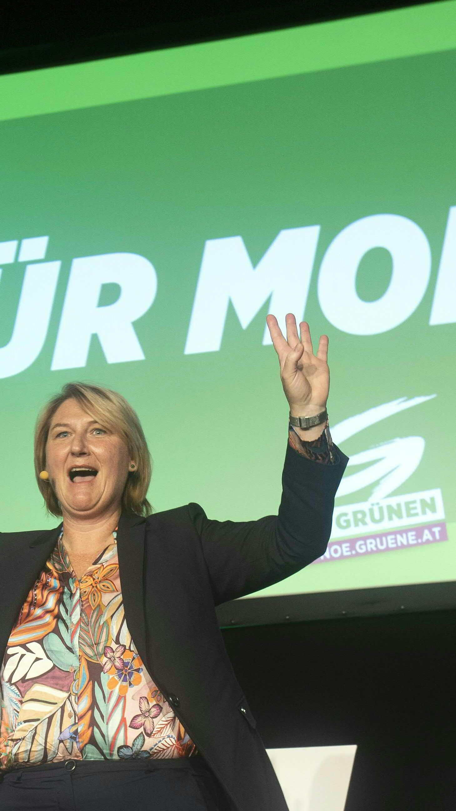Die Grünen sind am Sonntag als erste Partei in den Wahlkampf für die NÖ-Wahl gestartet.