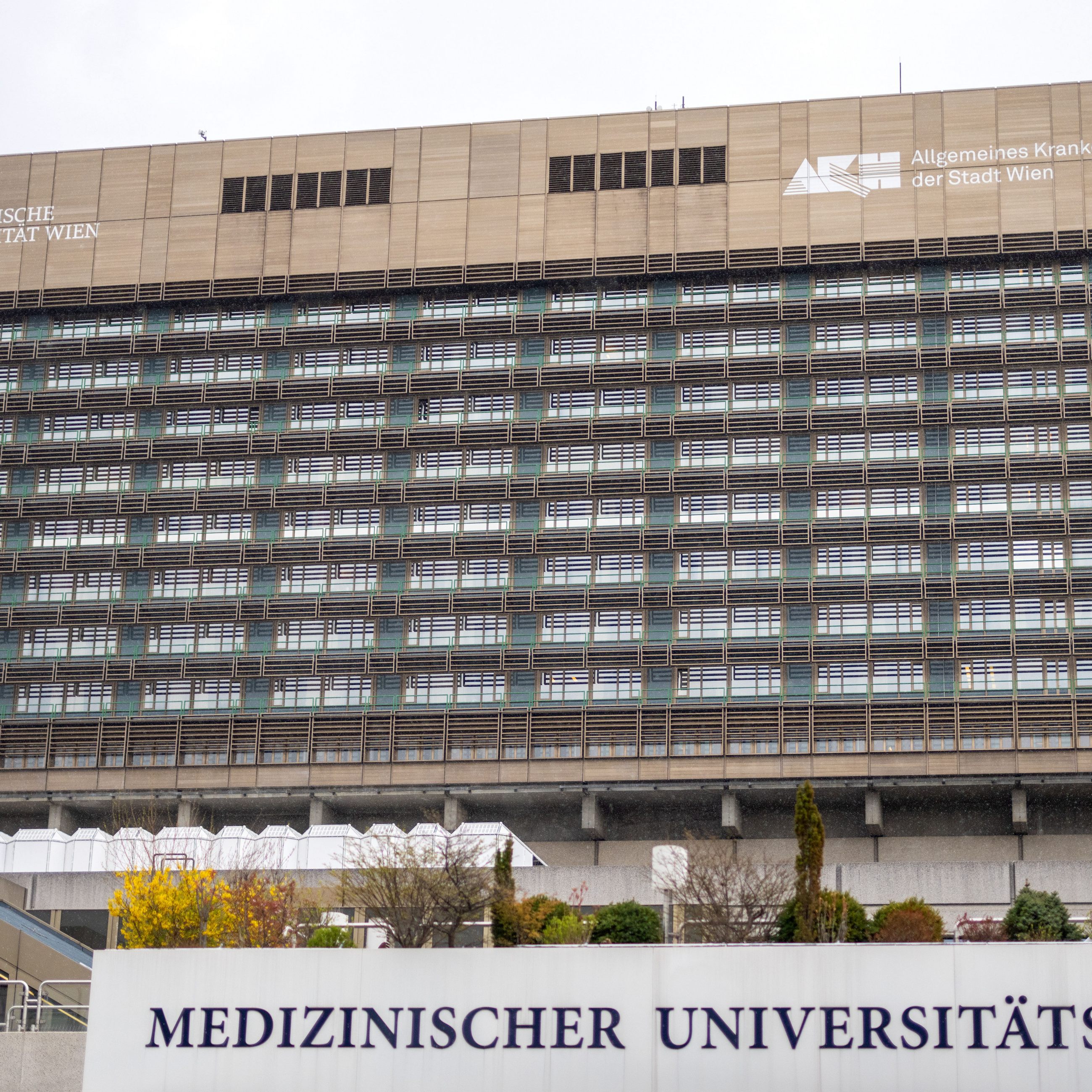 Am Wiener AKH wurde eine Fähigkeit des autonomen Nervensystems entdeckt.