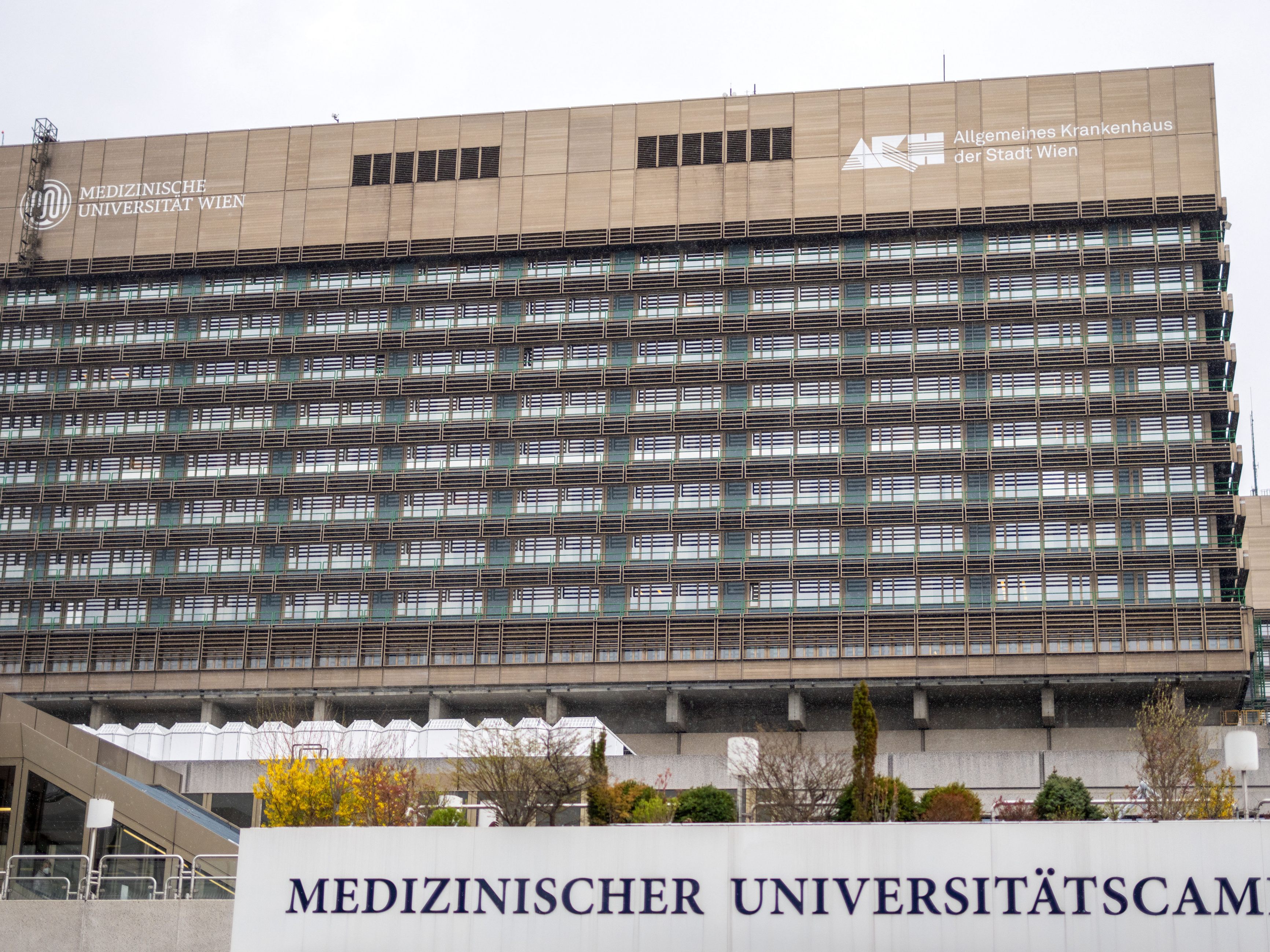 Am Wiener AKH wurde eine Fähigkeit des autonomen Nervensystems entdeckt.