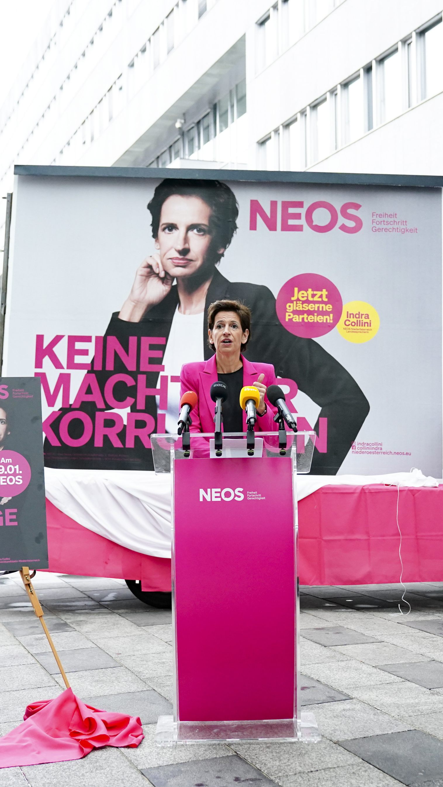 Die NEOS bauen bei ihren Plakaten für die NÖ-Wahl auf Spitzenkandidatin Collini.