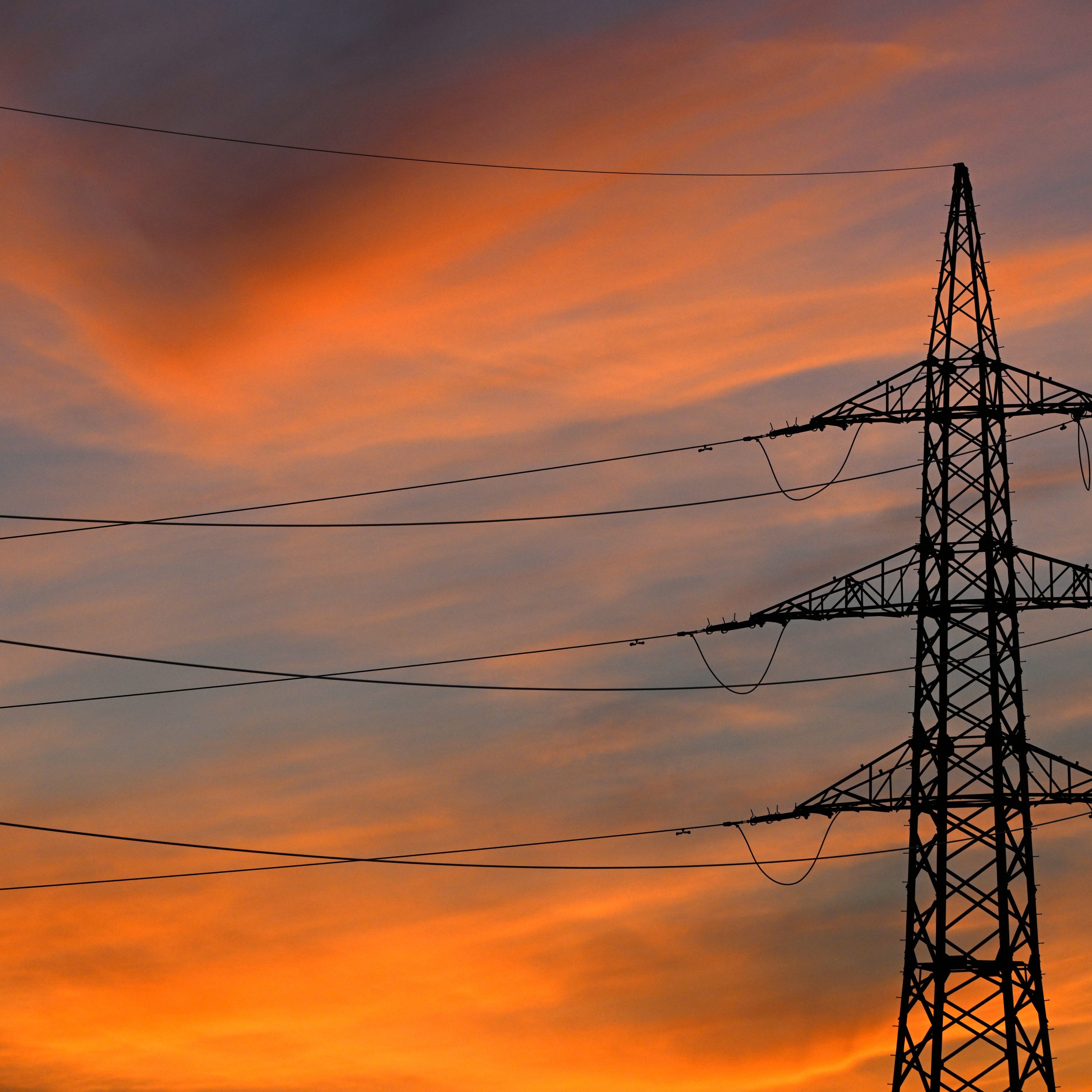 WIFO und BOKU liefern tagesaktuelle Energiedaten.