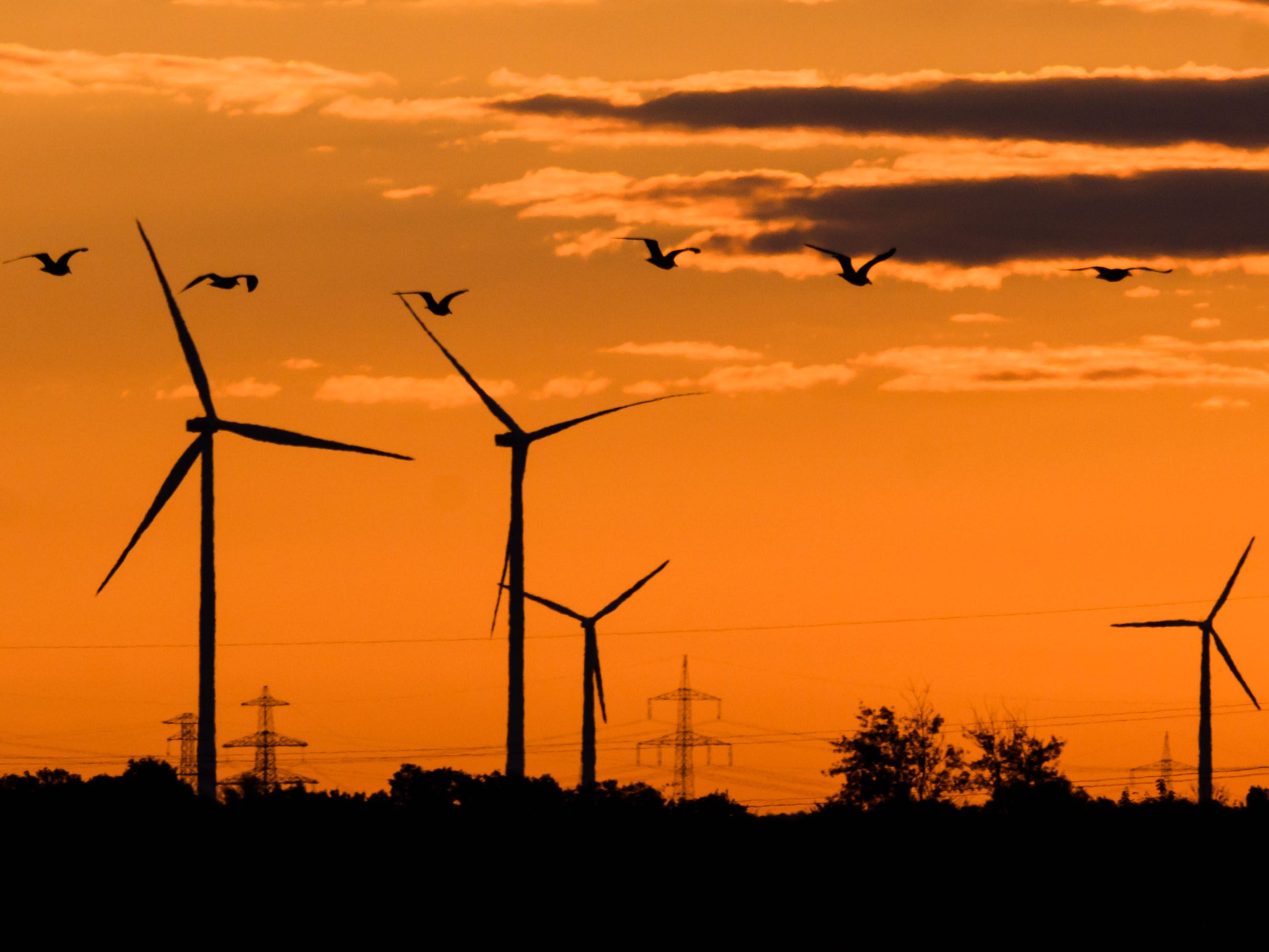 Die Pläne zur Energiewende sind laut einem Experten teuer und zeitlich wenig realistisch. Die Pläne zur Energiewende sind laut einem Experten teuer und zeitlich wenig realistisch.