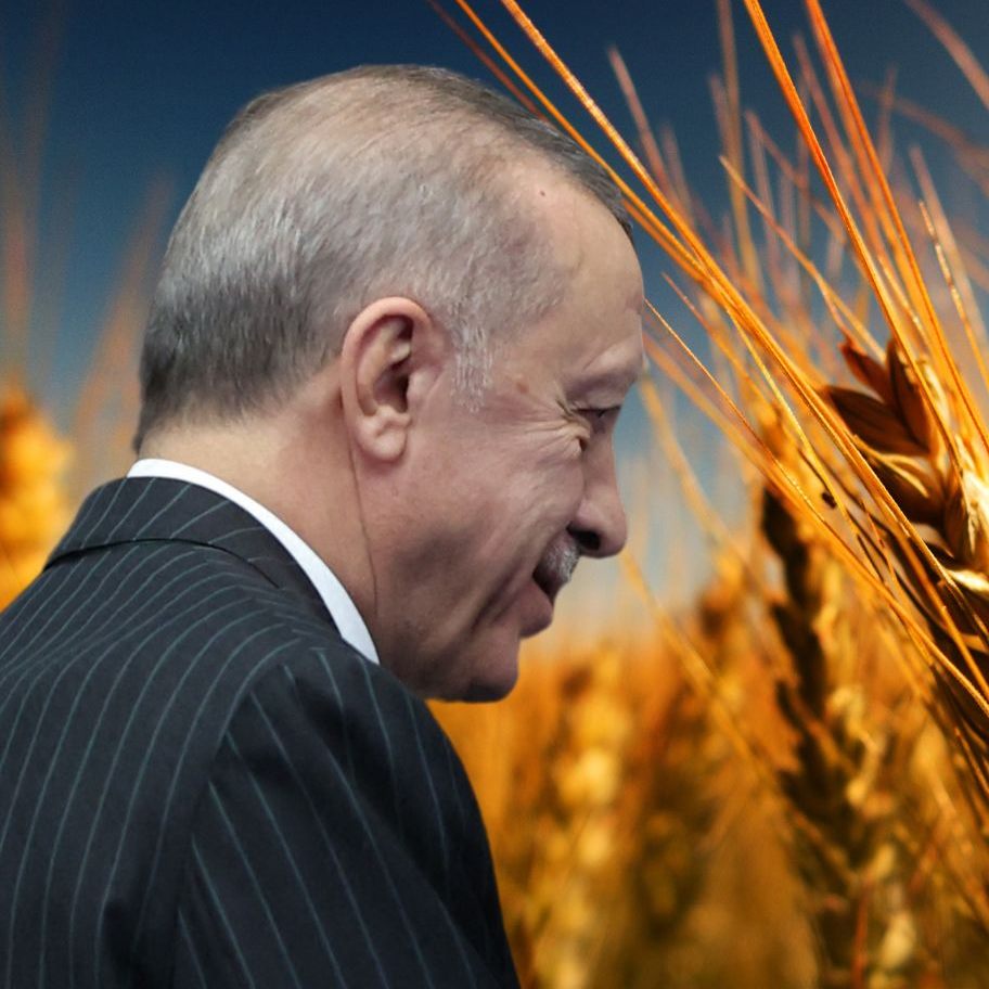 Putin und Erdogan wollen kostenloses Getreide nach Dschibuti, Somalia und in den Sudan schicken.