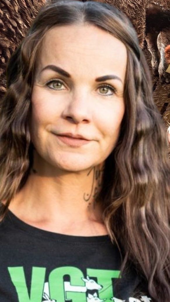 Anzeige gegen Betrieb in Vorarlberg