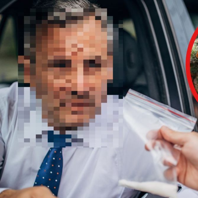 Im Bregenzerwald ging das Gerücht die Runde, dass man bei dem beschuldigten, mutmaßlichen Dealer bequem mit dem Auto zu seinem Stoff kam.