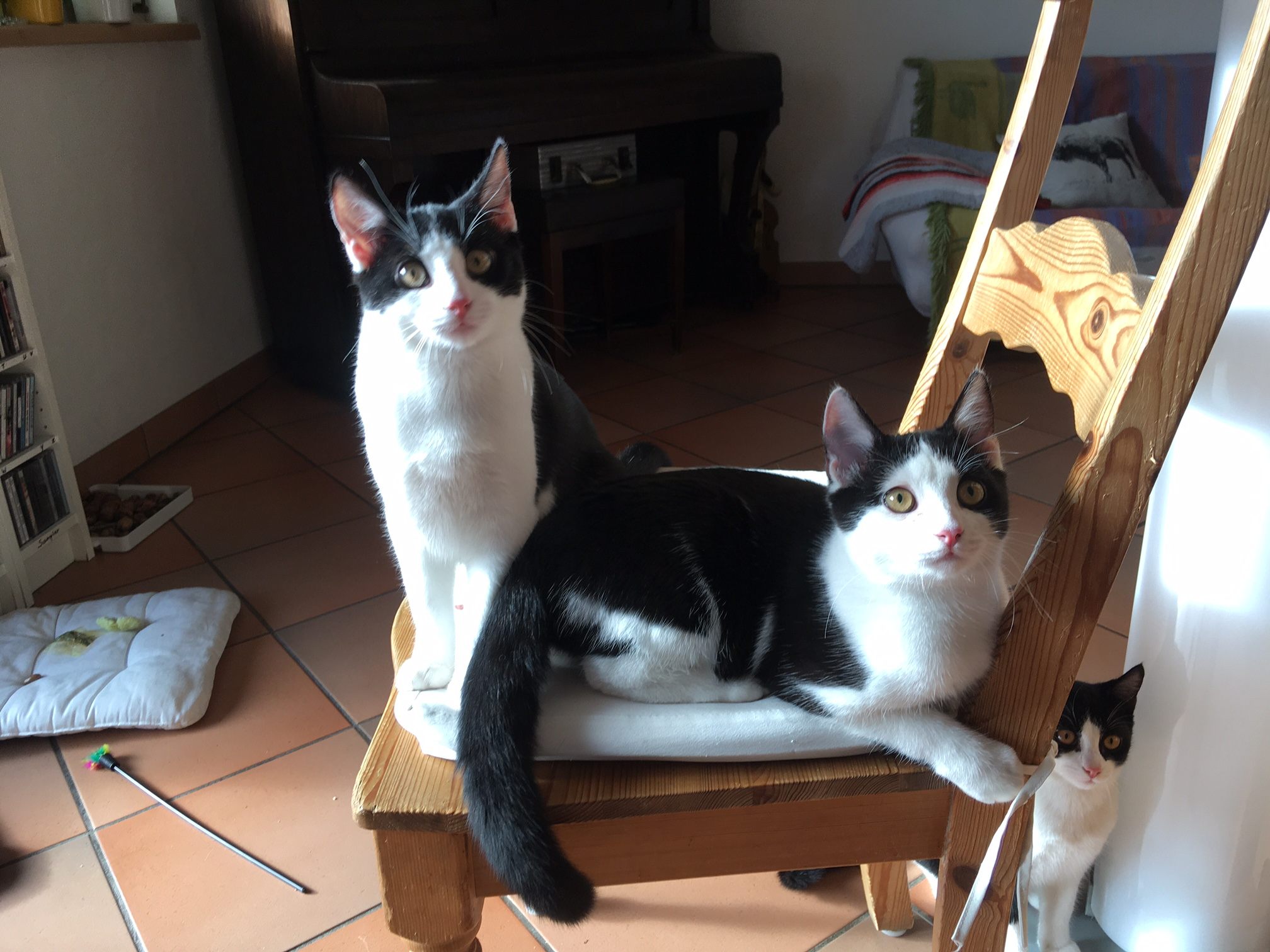 Bobby & Mimi Bobby & Mimi