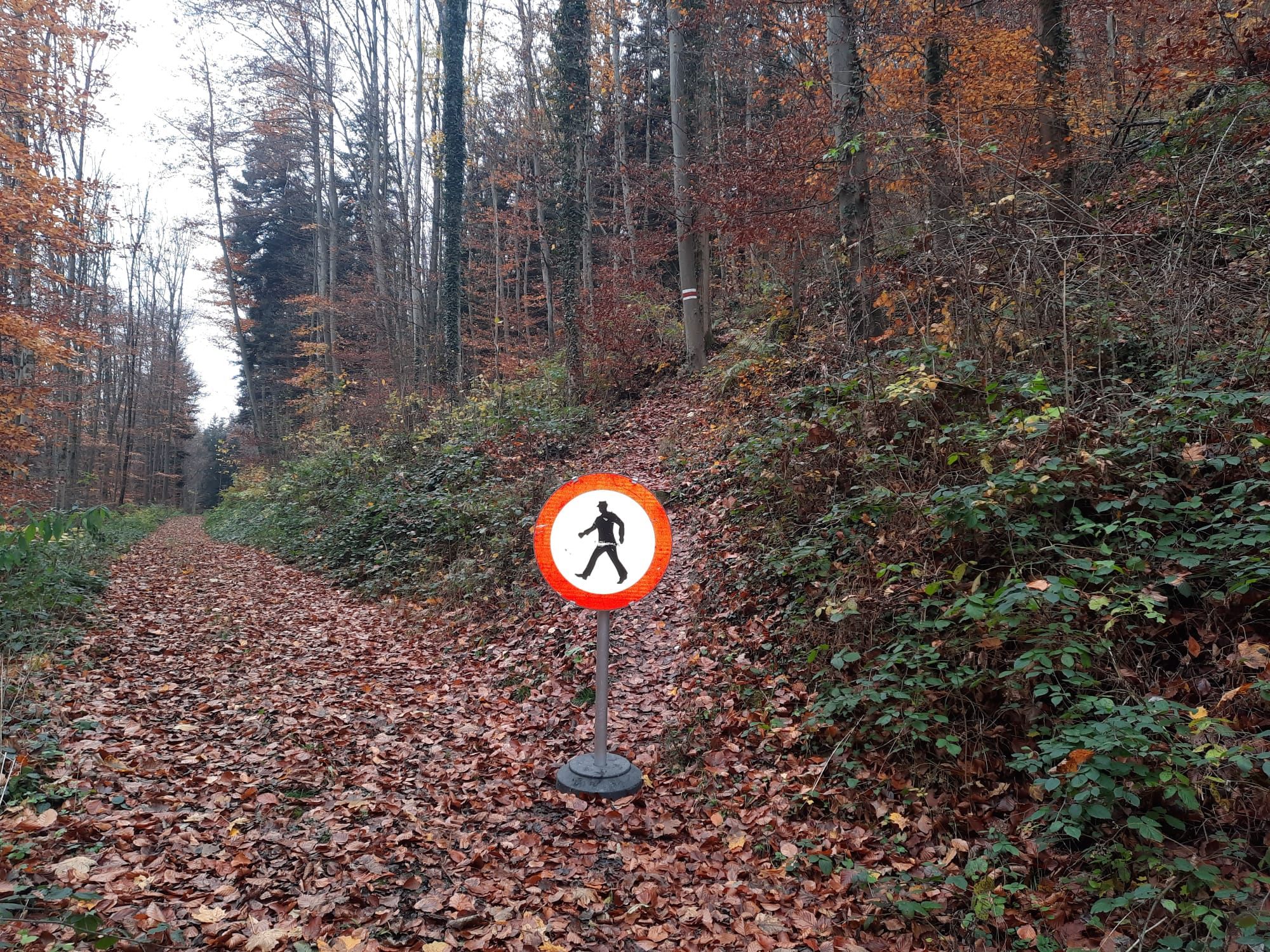 Derzeit gesperrt: Der "Böse Tritt" am Kummenberg Derzeit gesperrt: Der "Böse Tritt" am Kummenberg