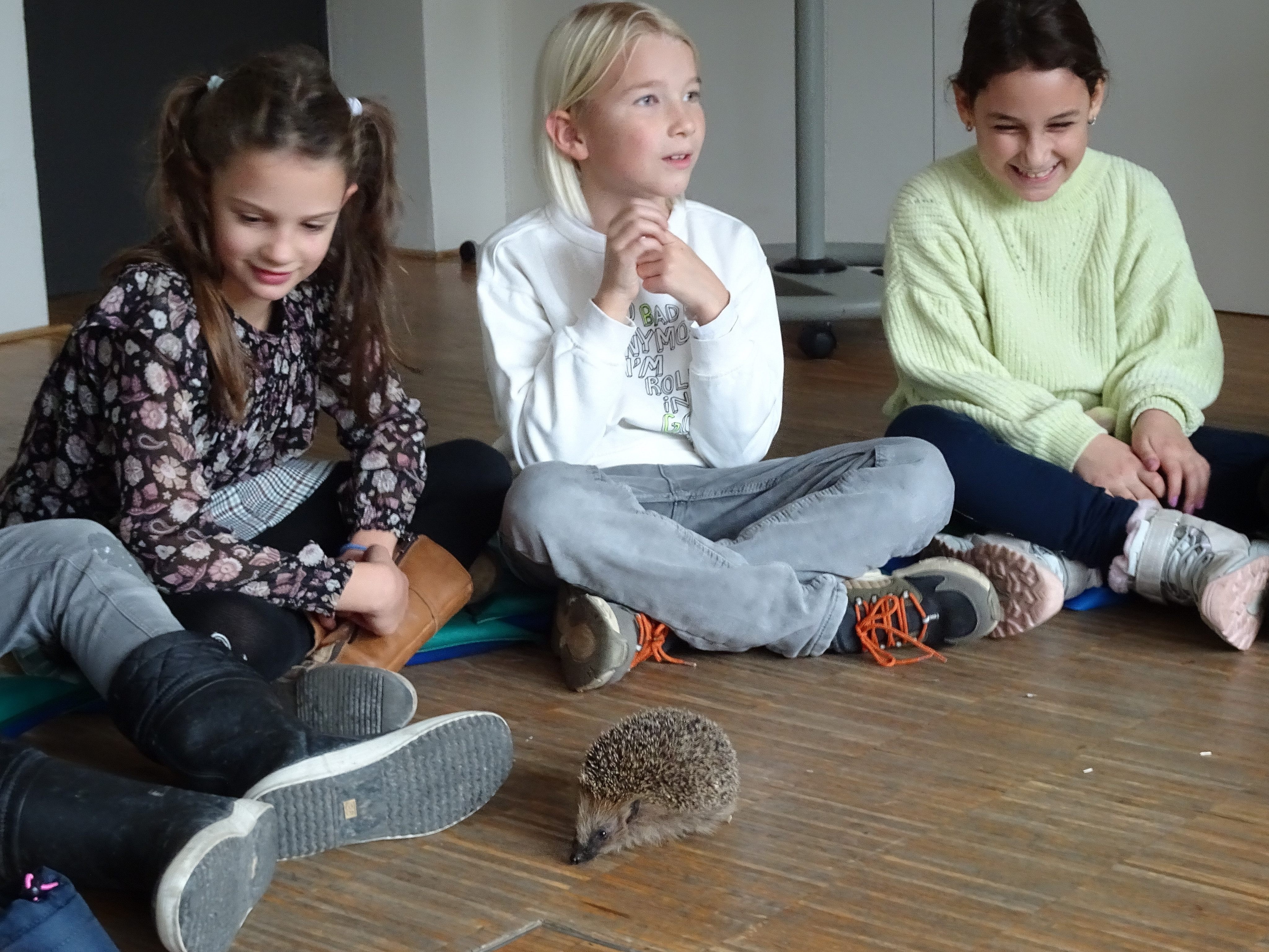 Der inatura-Igel sorgte für großes Entzücken bei den Kindern der VS Leopold.