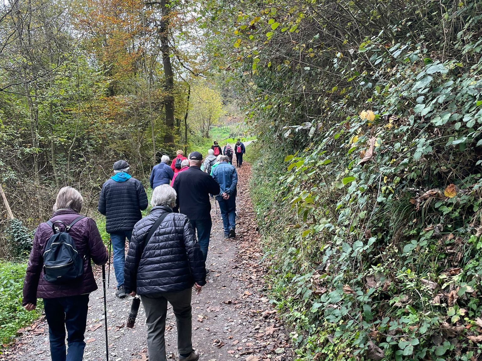 Seniorenbund Rankweil: Wanderung nach Göfis Seniorenbund Rankweil: Wanderung nach Göfis