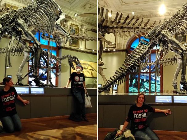 Klimaaktivisten klebten sich im NHM vor Dinosaurier-Skeletten fest. Klimaaktivisten klebten sich im NHM vor Dinosaurier-Skeletten fest.