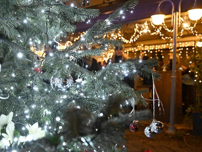 Das Weihnachtsdorf im Alten AKH in Wien-Alsergrund findet 2022 vom 11. November bis 23. Dezember statt. Das Weihnachtsdorf im Alten AKH in Wien-Alsergrund findet 2022 vom 11. November bis 23. Dezember statt.