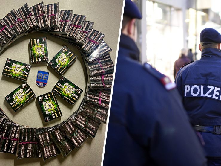 Die Wiener Polizei stellte 680 Stück Pyrotechnik sicher. Die Wiener Polizei stellte 680 Stück Pyrotechnik sicher.