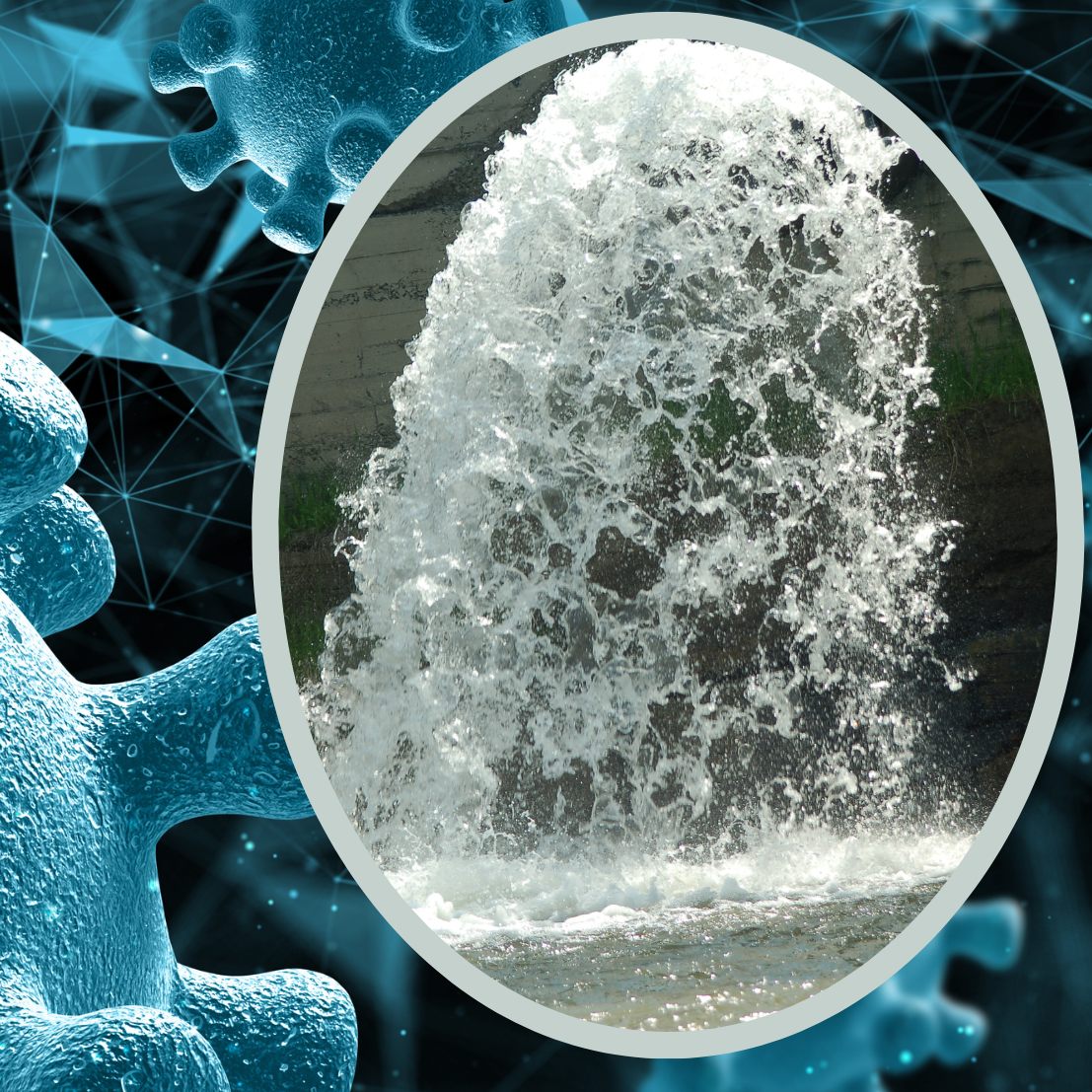 Abwasser-Analyse zeigt steigende Viruslast