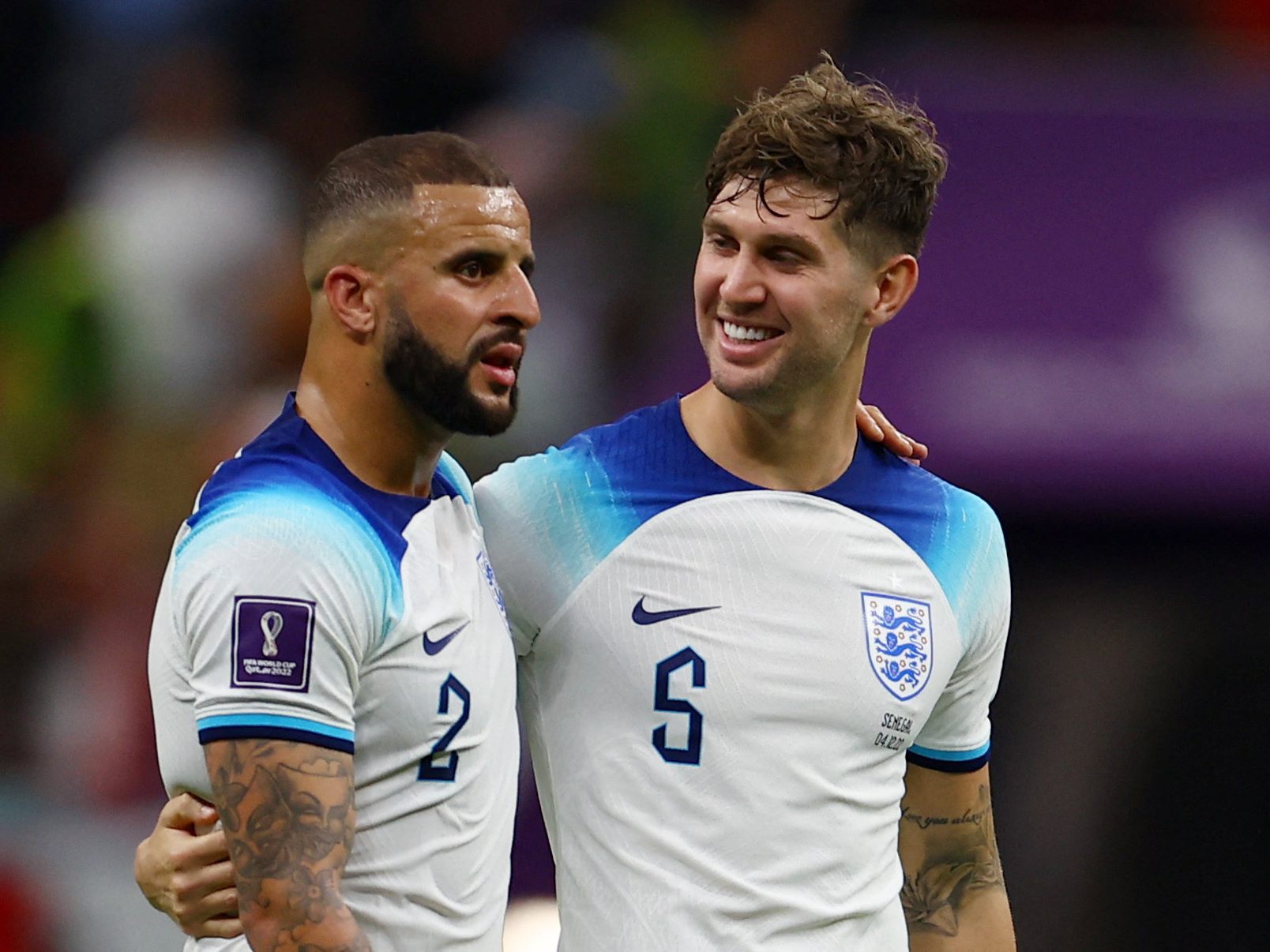Mit Walker und Stones haben zwei England-Spieler eine Katze adoptiert.