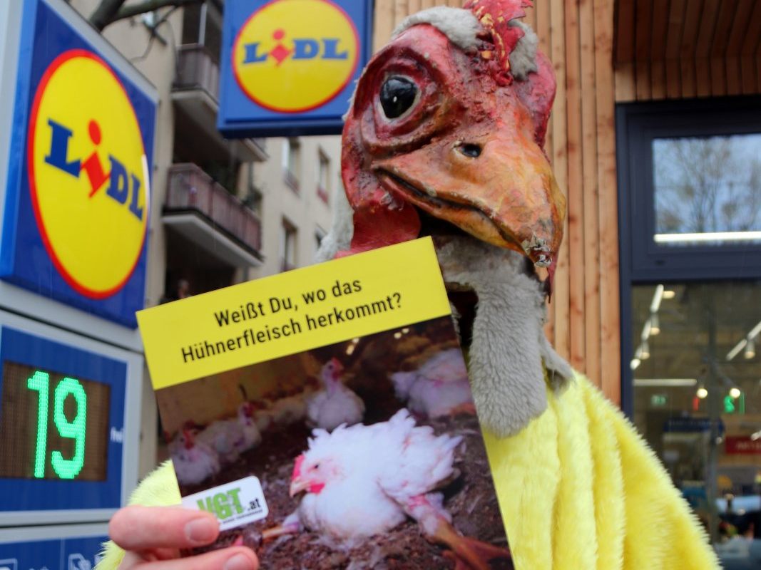Der Skandalbetrieb, der auch Lidl mit Hühnerfleisch beliefert hat, wurde aus der Lieferkette entfernt. Der Skandalbetrieb, der auch Lidl mit Hühnerfleisch beliefert hat, wurde aus der Lieferkette entfernt.