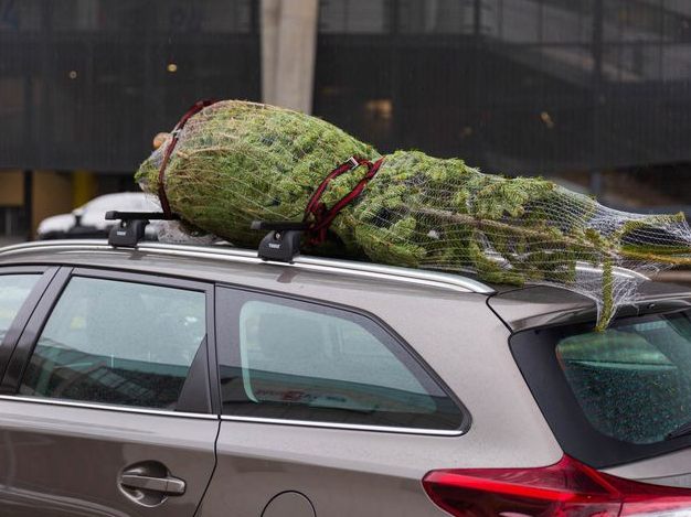 Mit diesen Tipps kann beim Weihnachtsbaum-Transport nichts mehr schiefgehen.