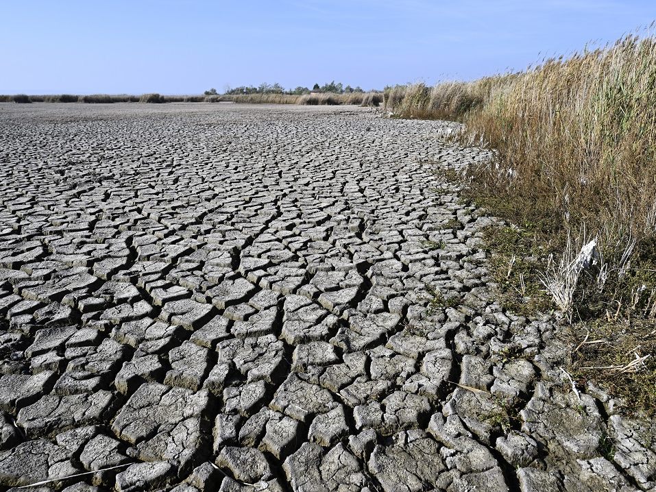 Wasserstand im Neusiedler See auf historisch niedrigem Niveau.