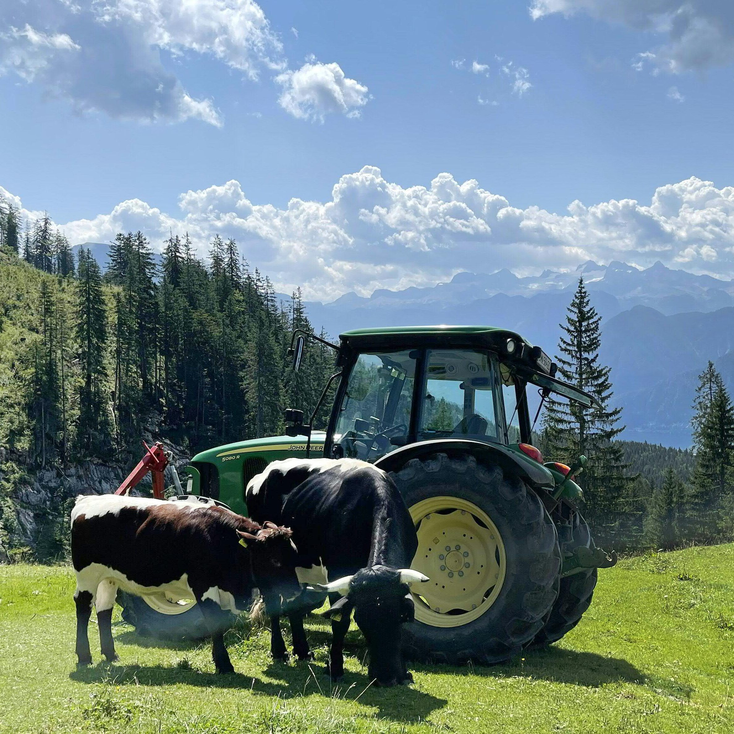 Die Arbeiterkammer kritisiert die Gewinne die die Landwirtschaft auf Kosten der Konsumenten erwirtschaftet haben soll.