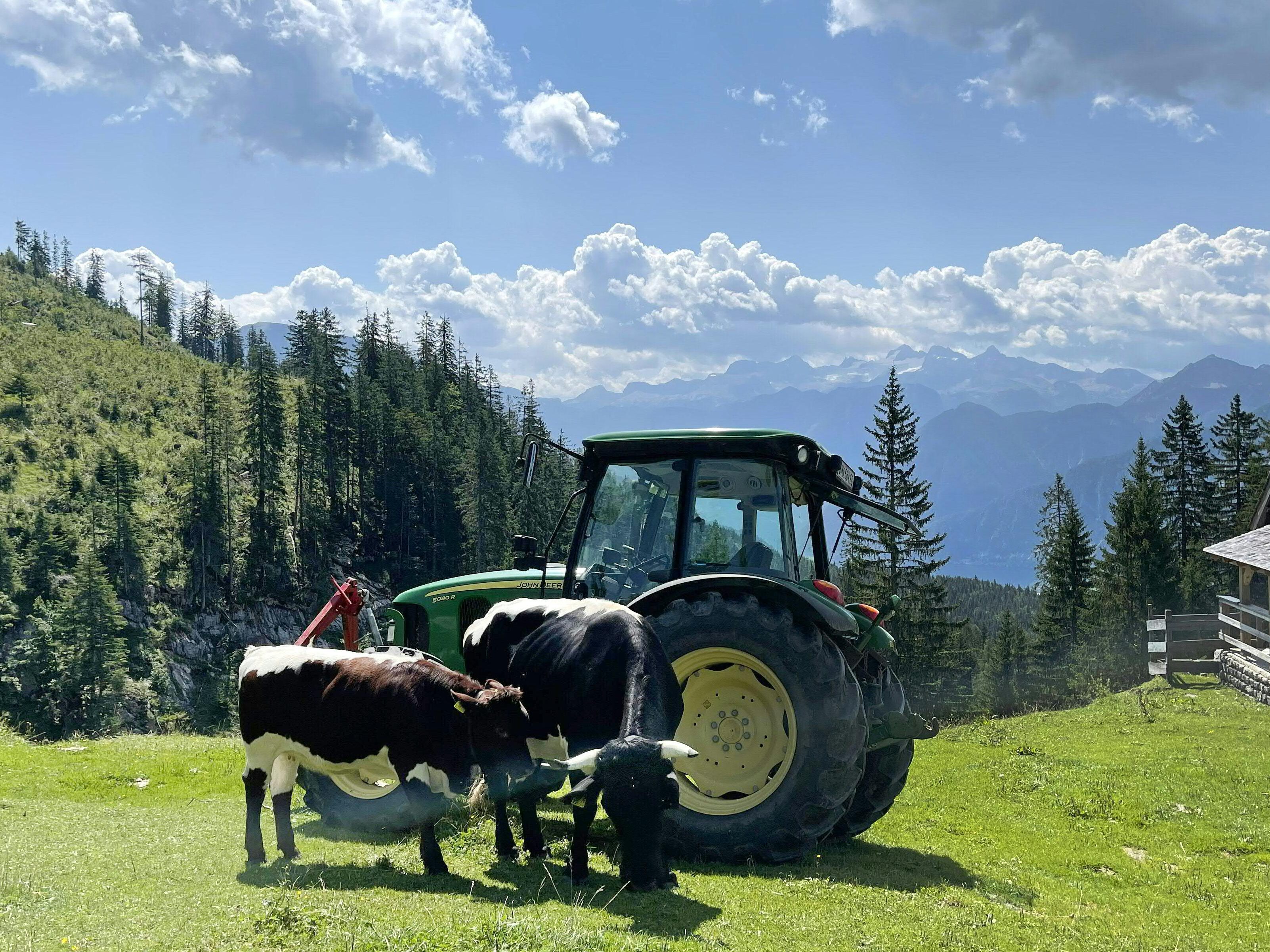 Die Arbeiterkammer kritisiert die Gewinne die die Landwirtschaft auf Kosten der Konsumenten erwirtschaftet haben soll. Die Arbeiterkammer kritisiert die Gewinne die die Landwirtschaft auf Kosten der Konsumenten erwirtschaftet haben soll.
